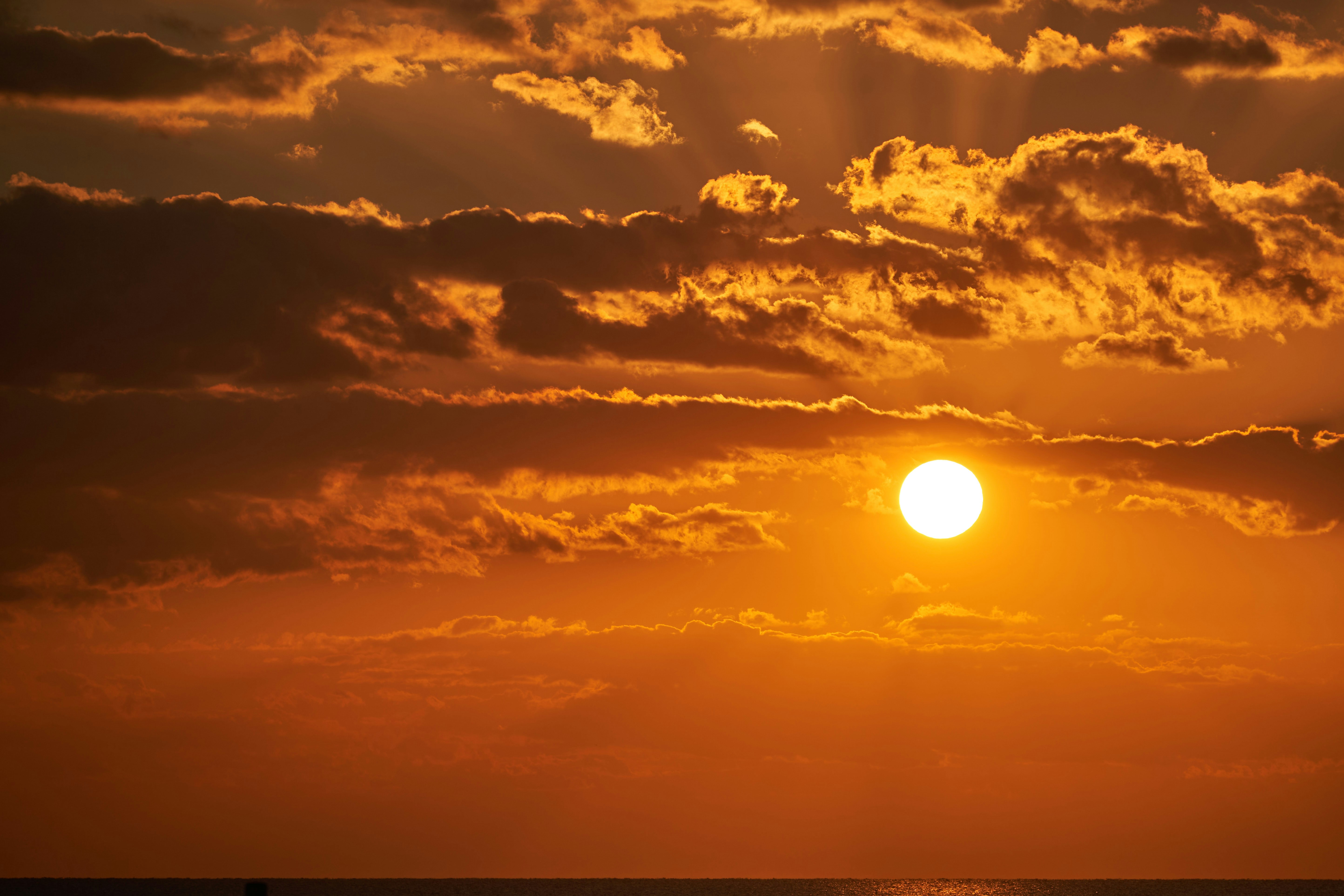 Photo by wolfgang_hasselmann