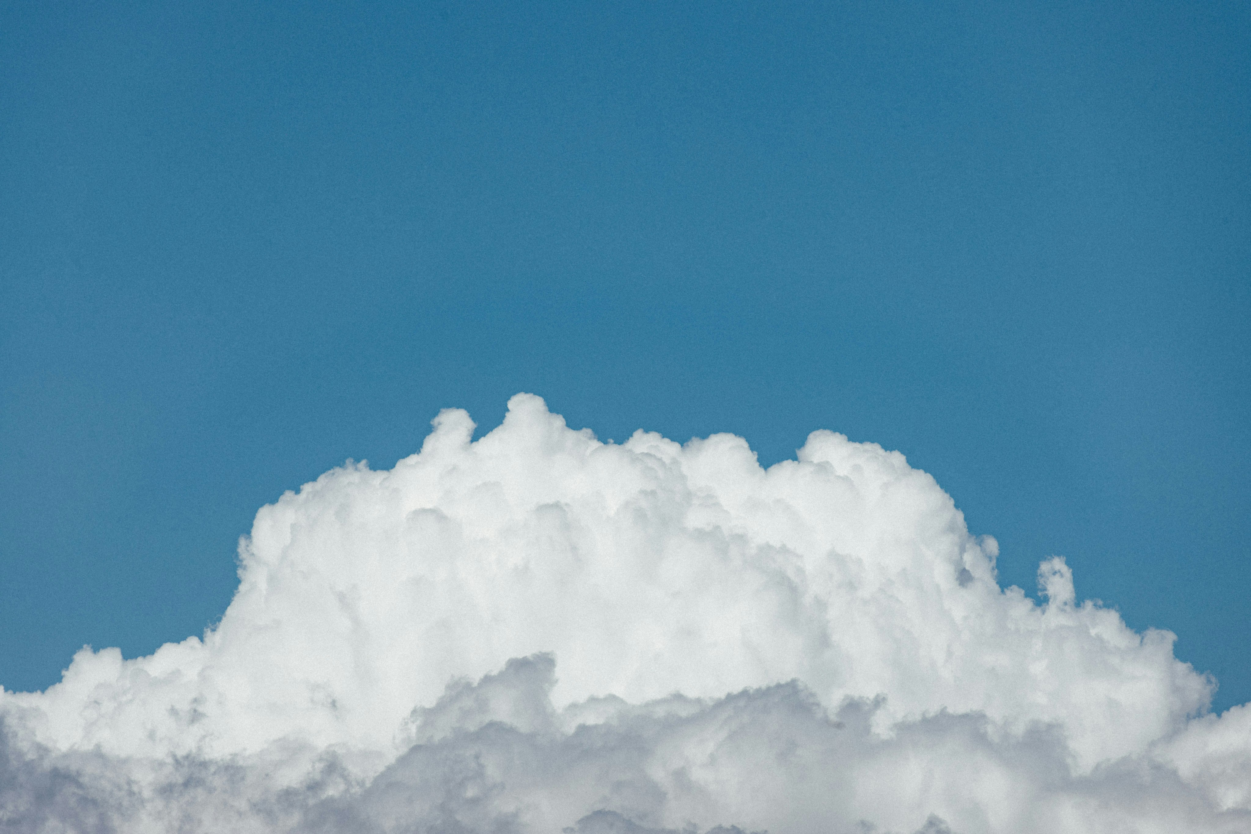 Photo by tsuyoshikozu