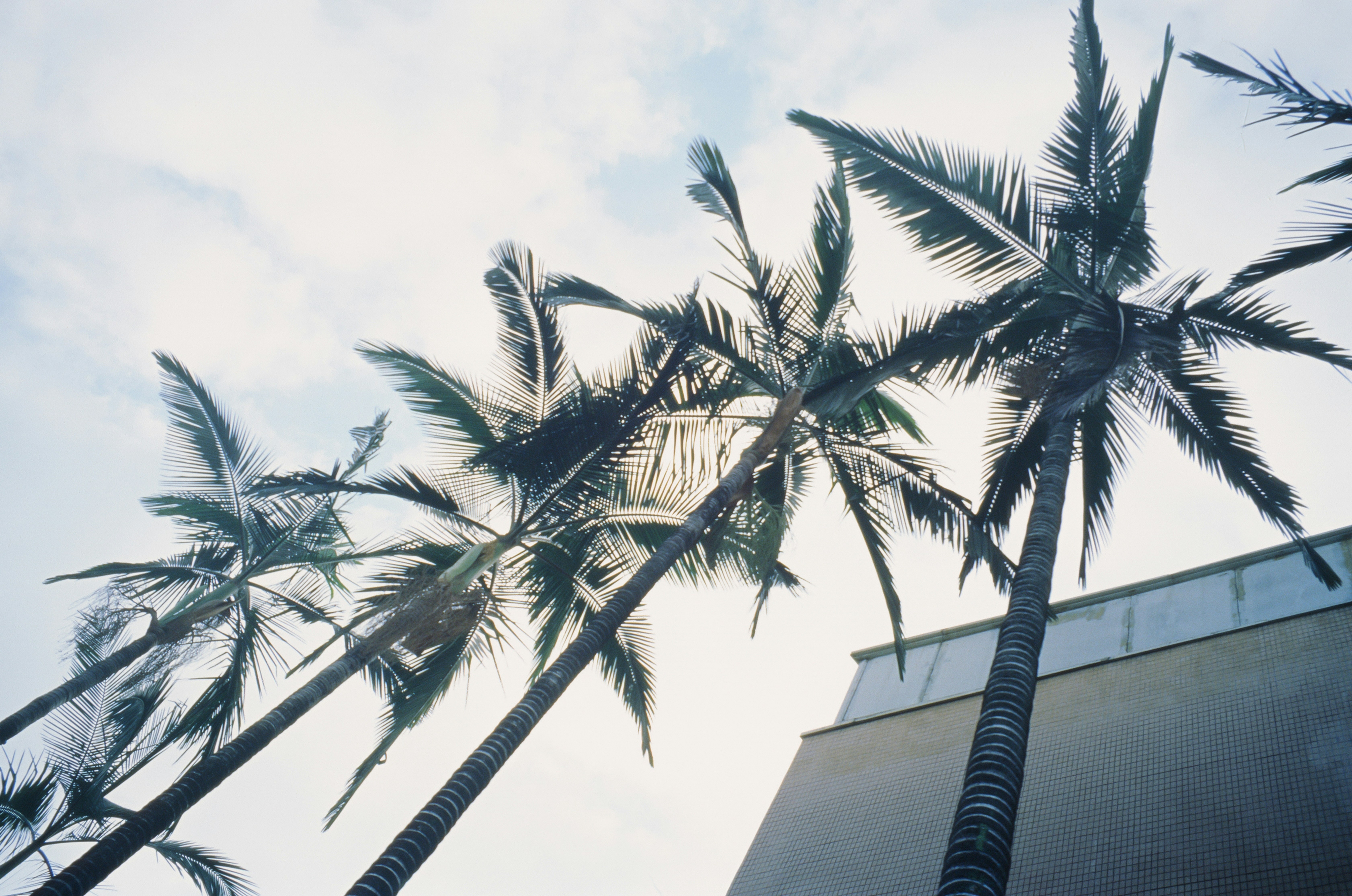 Photo by greedwolf97