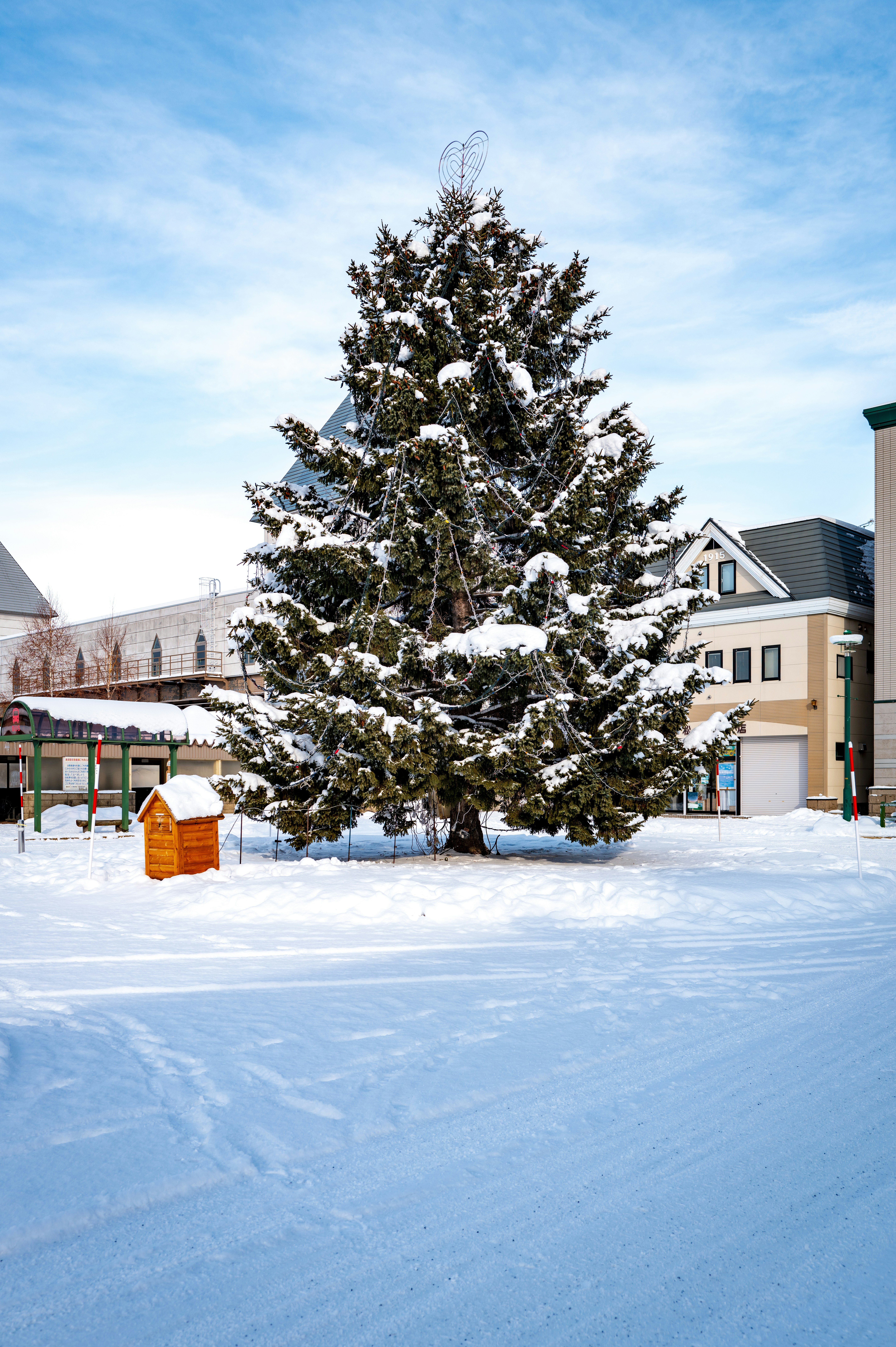 A snow covered street with a snow covered tree in the foreground