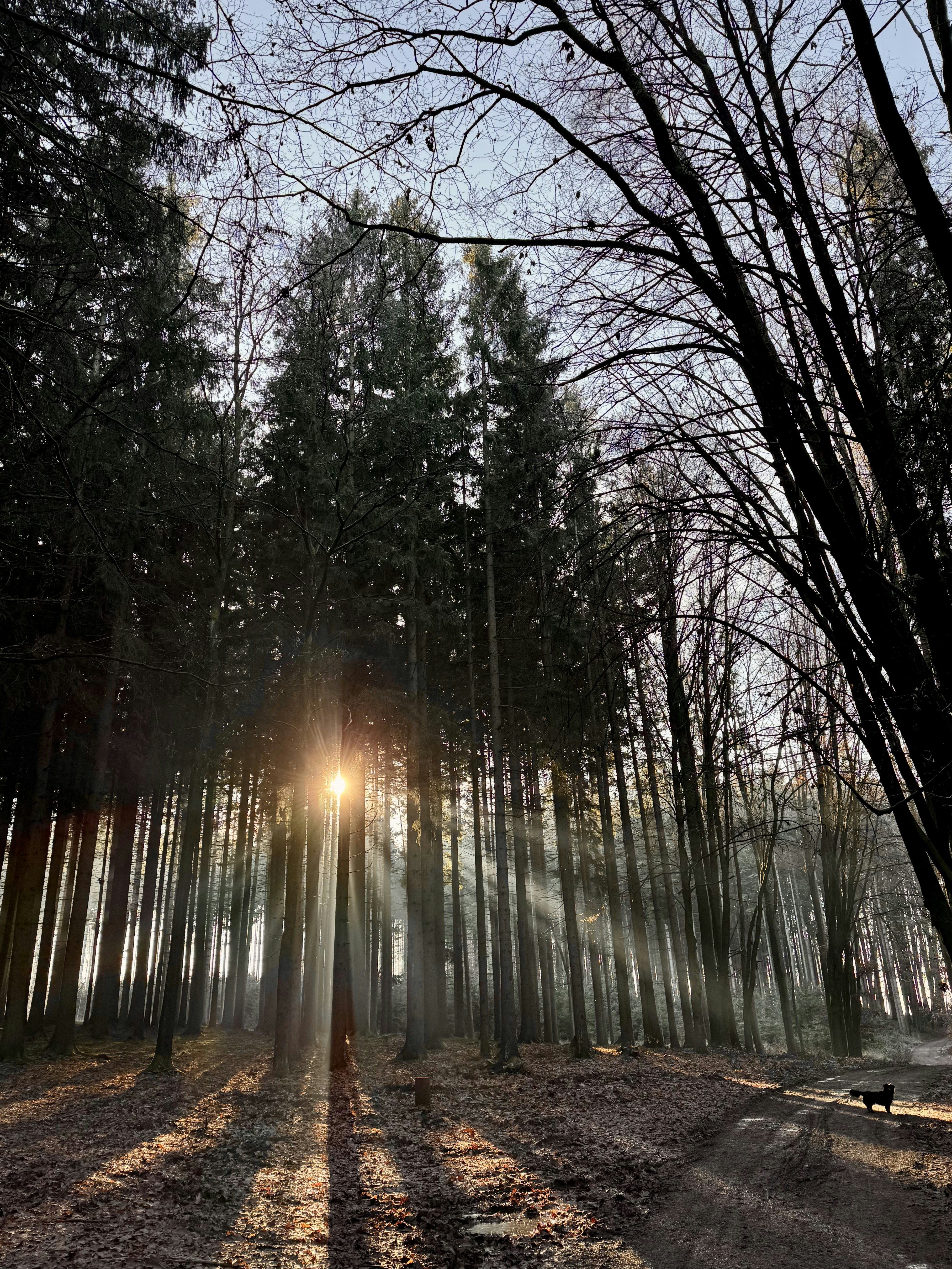 Photo by layla_z