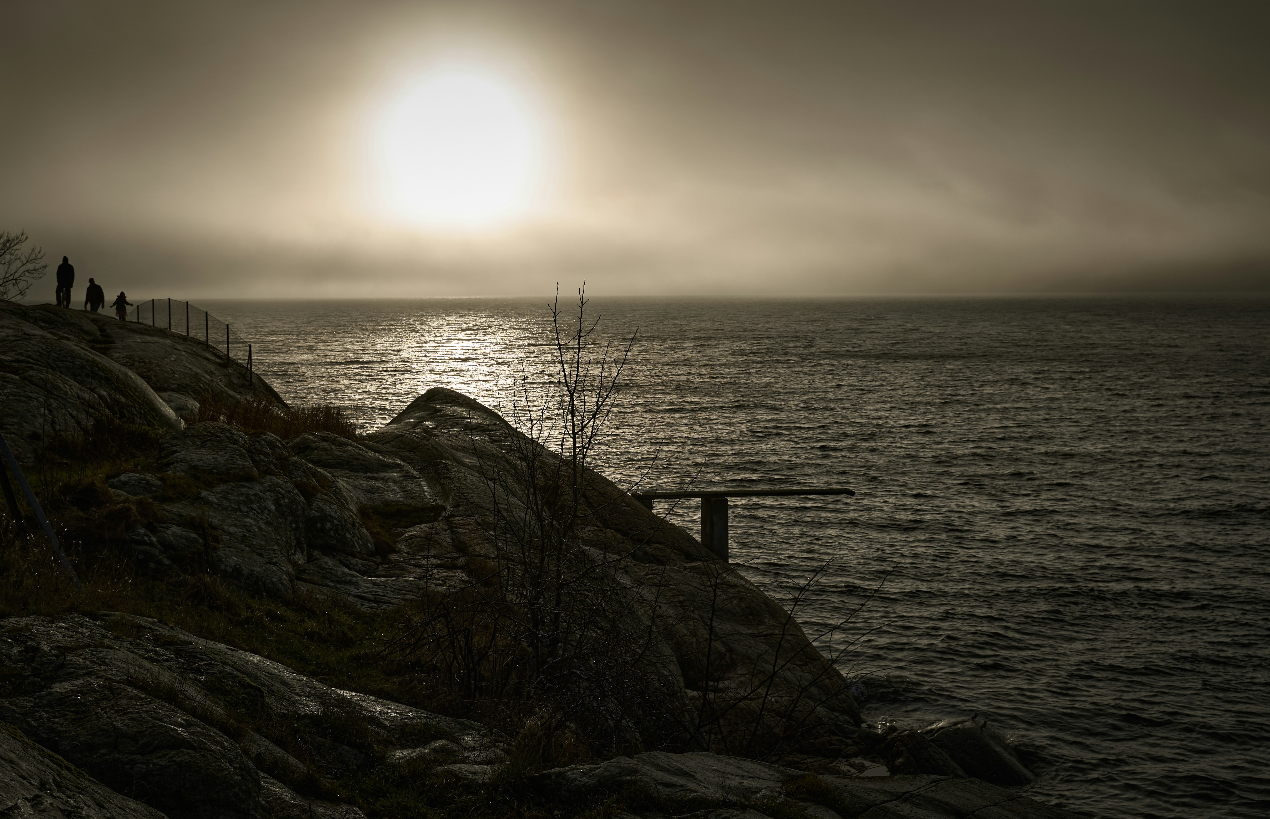 Una foto in bianco e nero del sole che tramonta sull'oceano