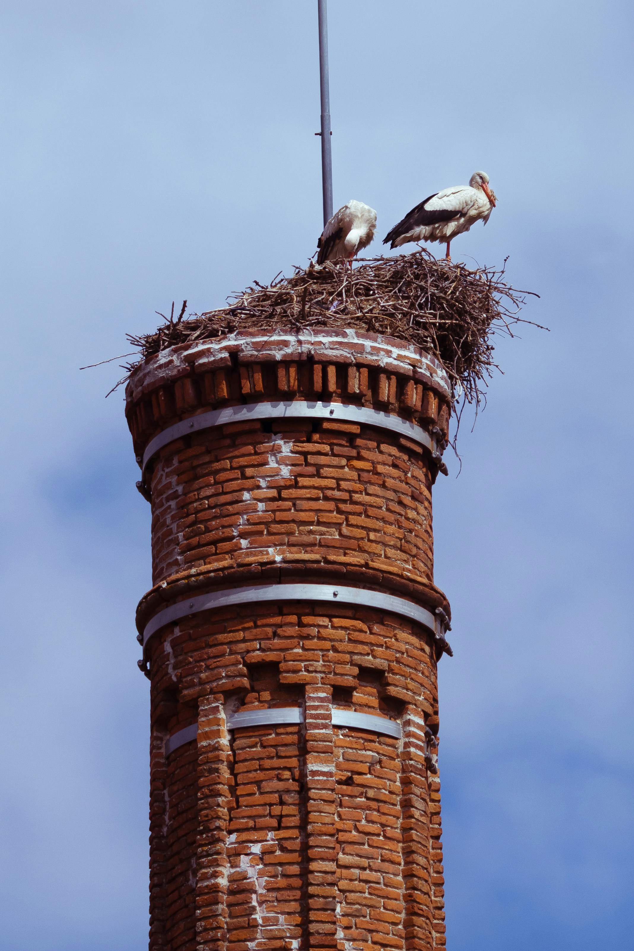 Two birds sitting on top of a brick tower
