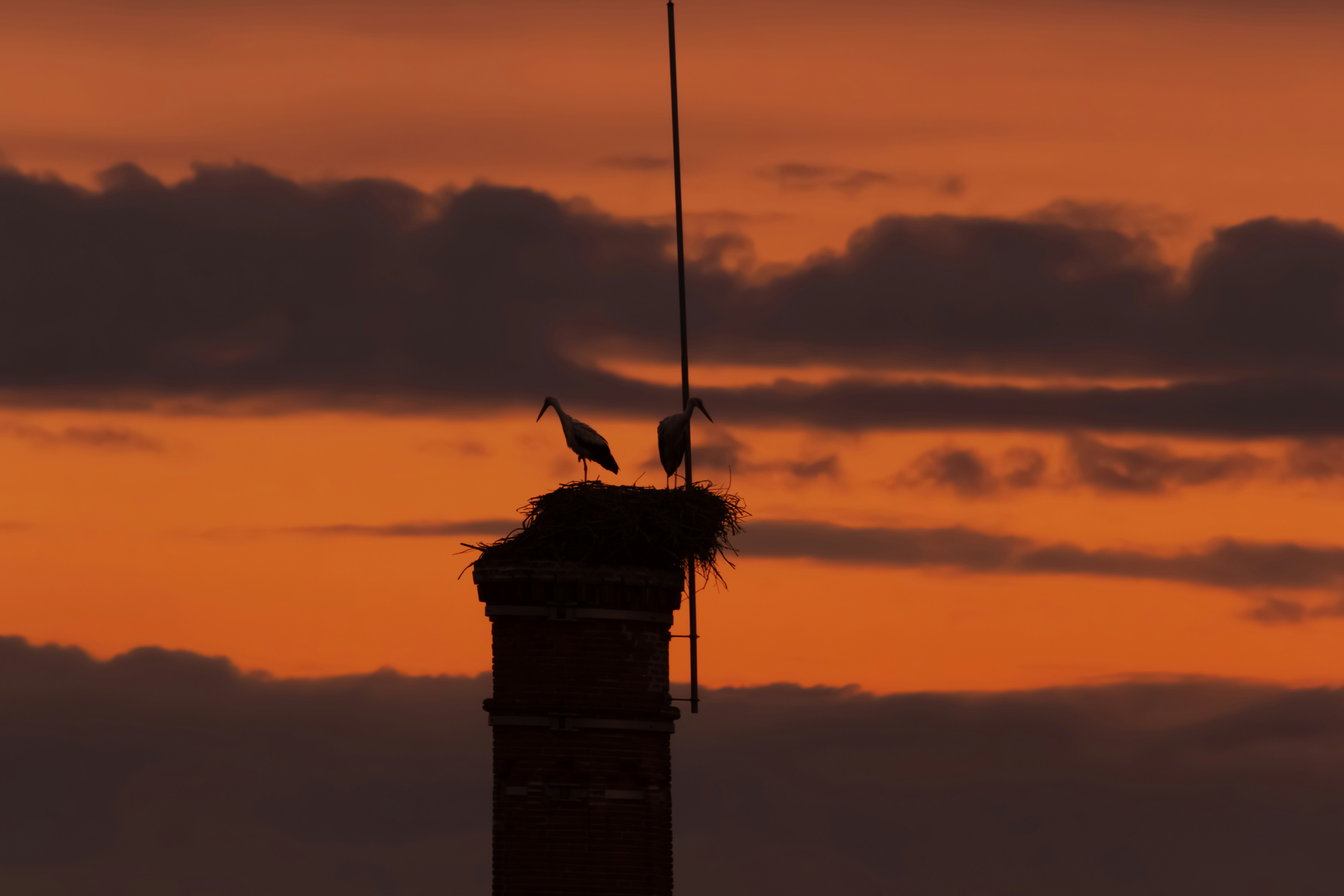 Two birds sitting on top of a tower at sunset