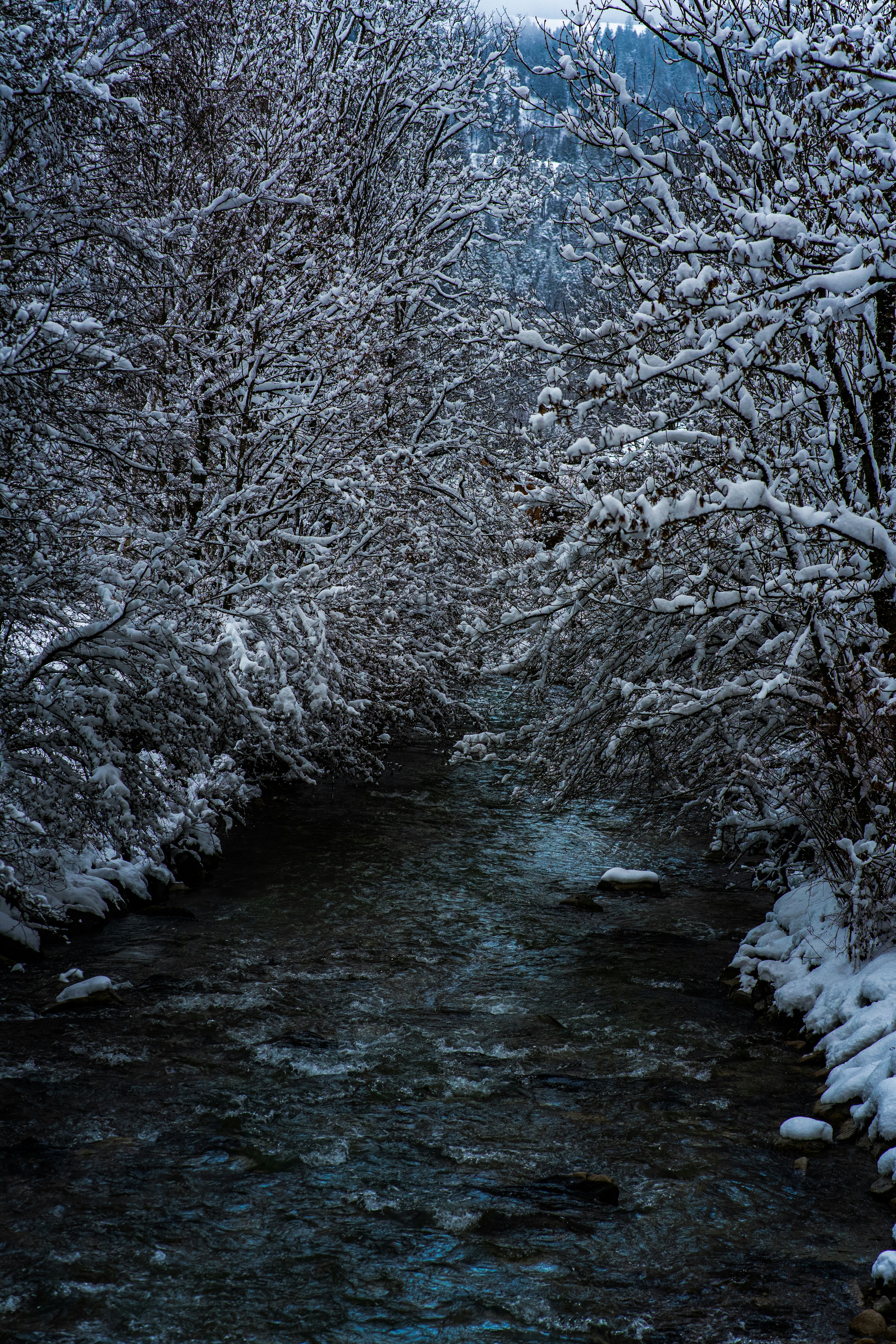 Photo by jahan_photobox