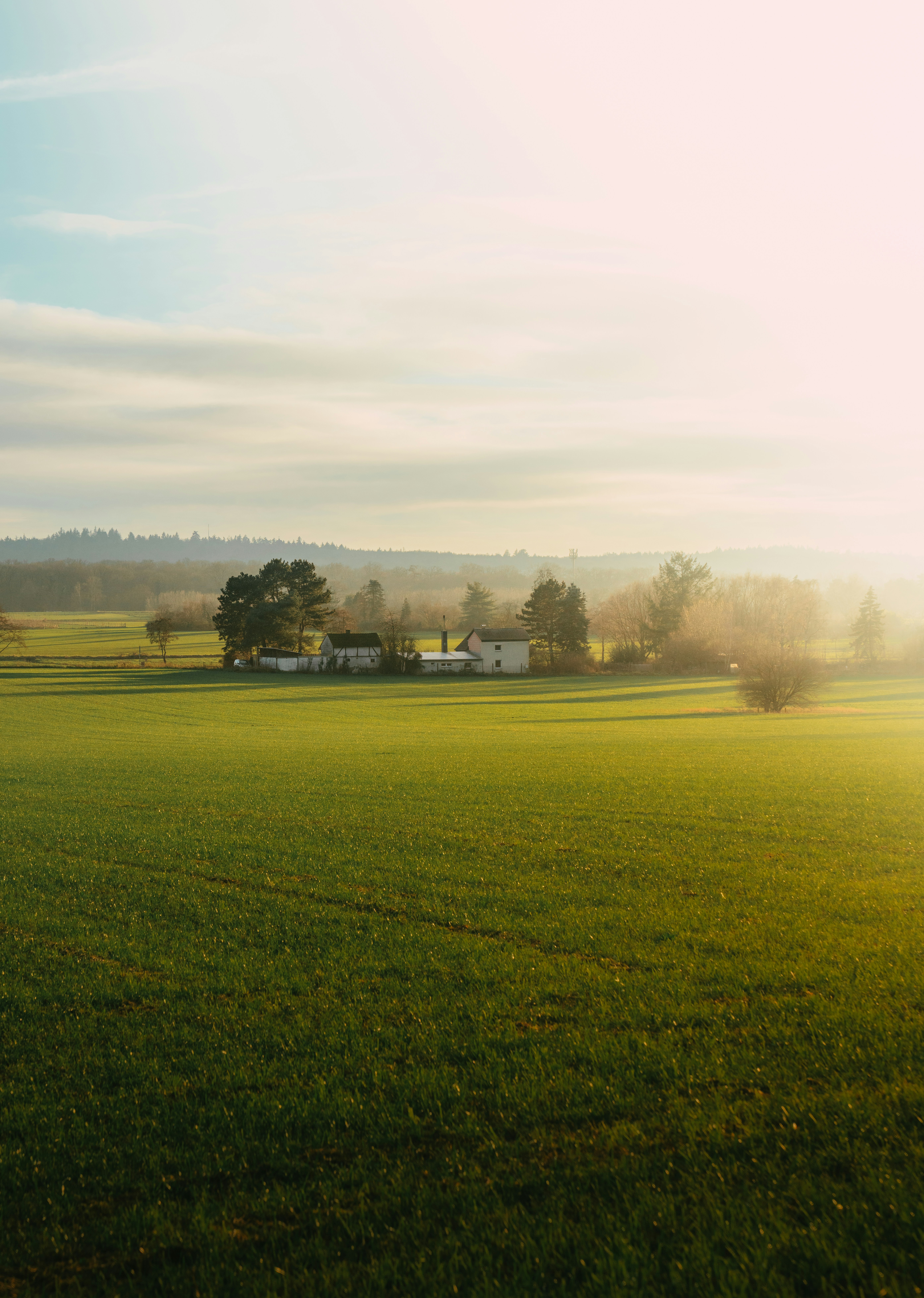 A green field with houses in the distance