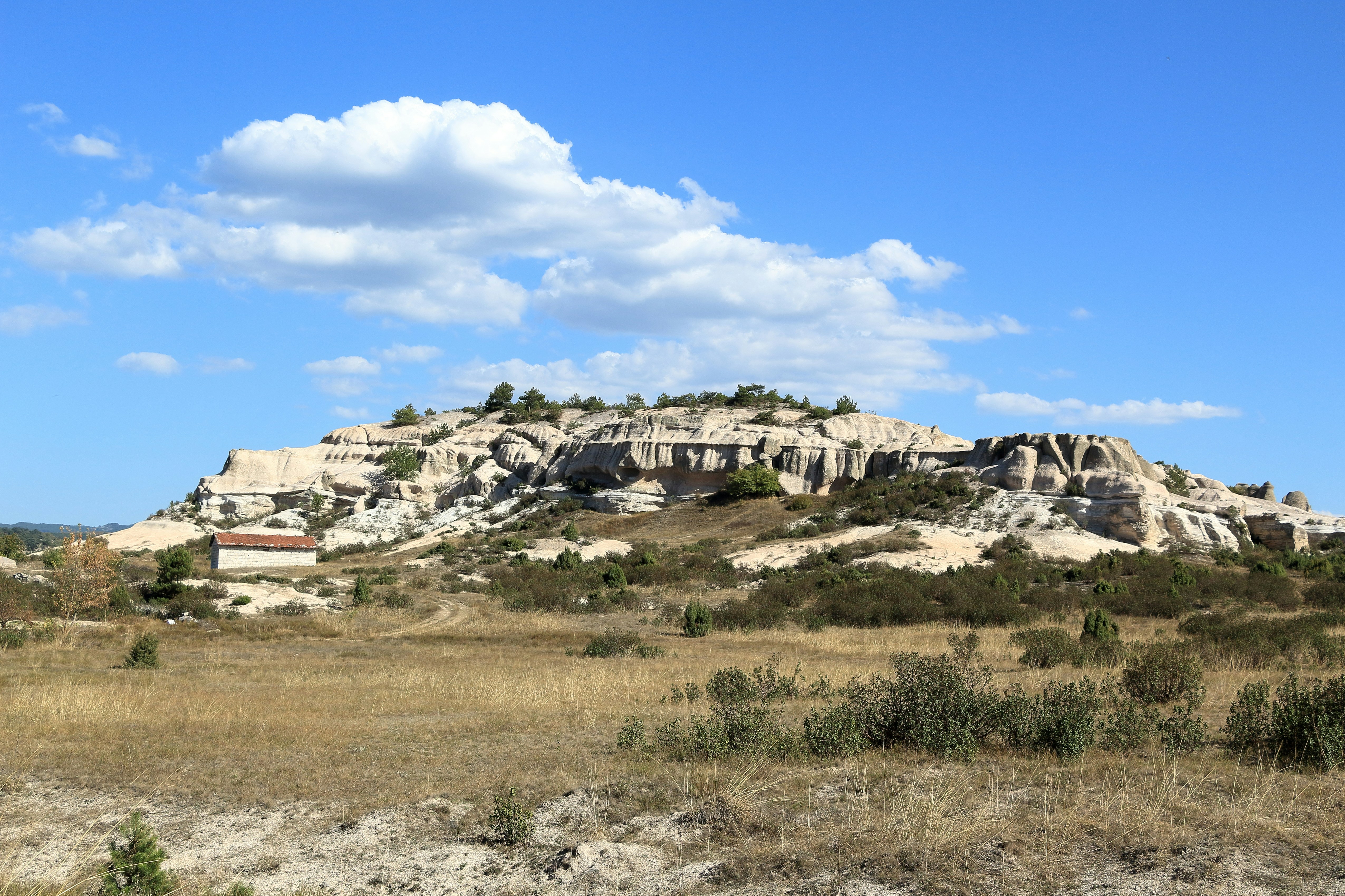 A field with a hill in the background