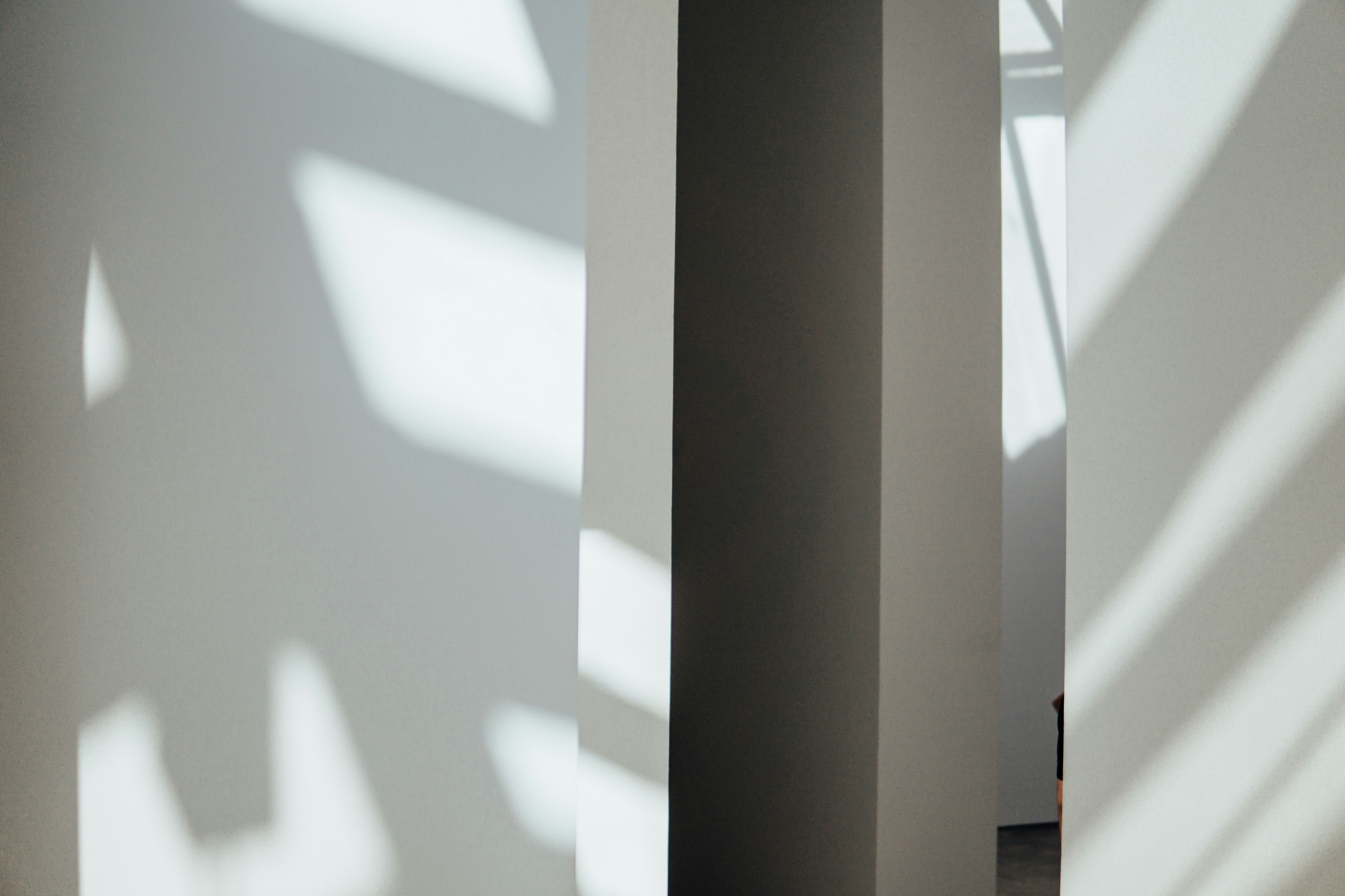 A cat sitting on the floor next to a window