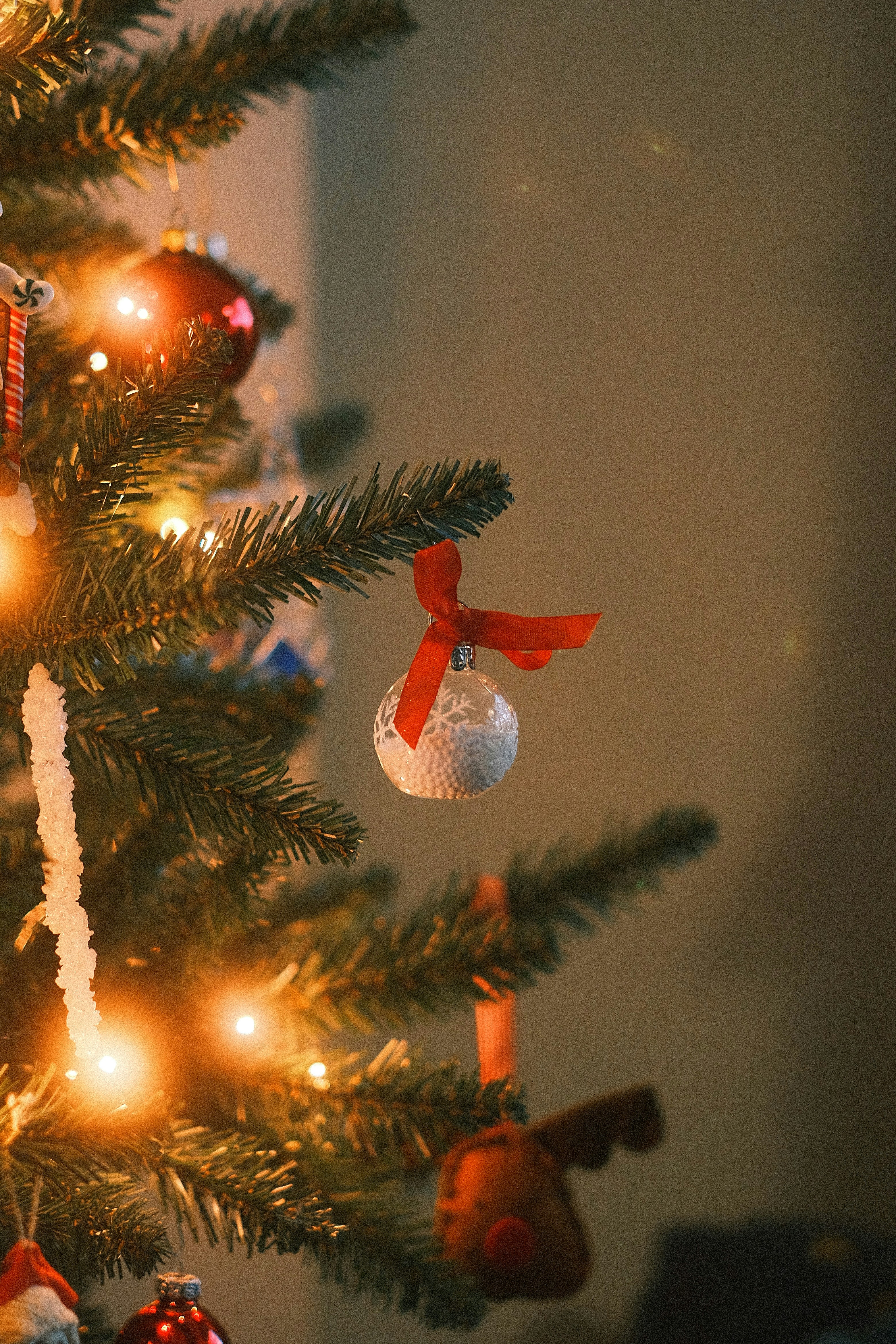 Photo by visualsbying