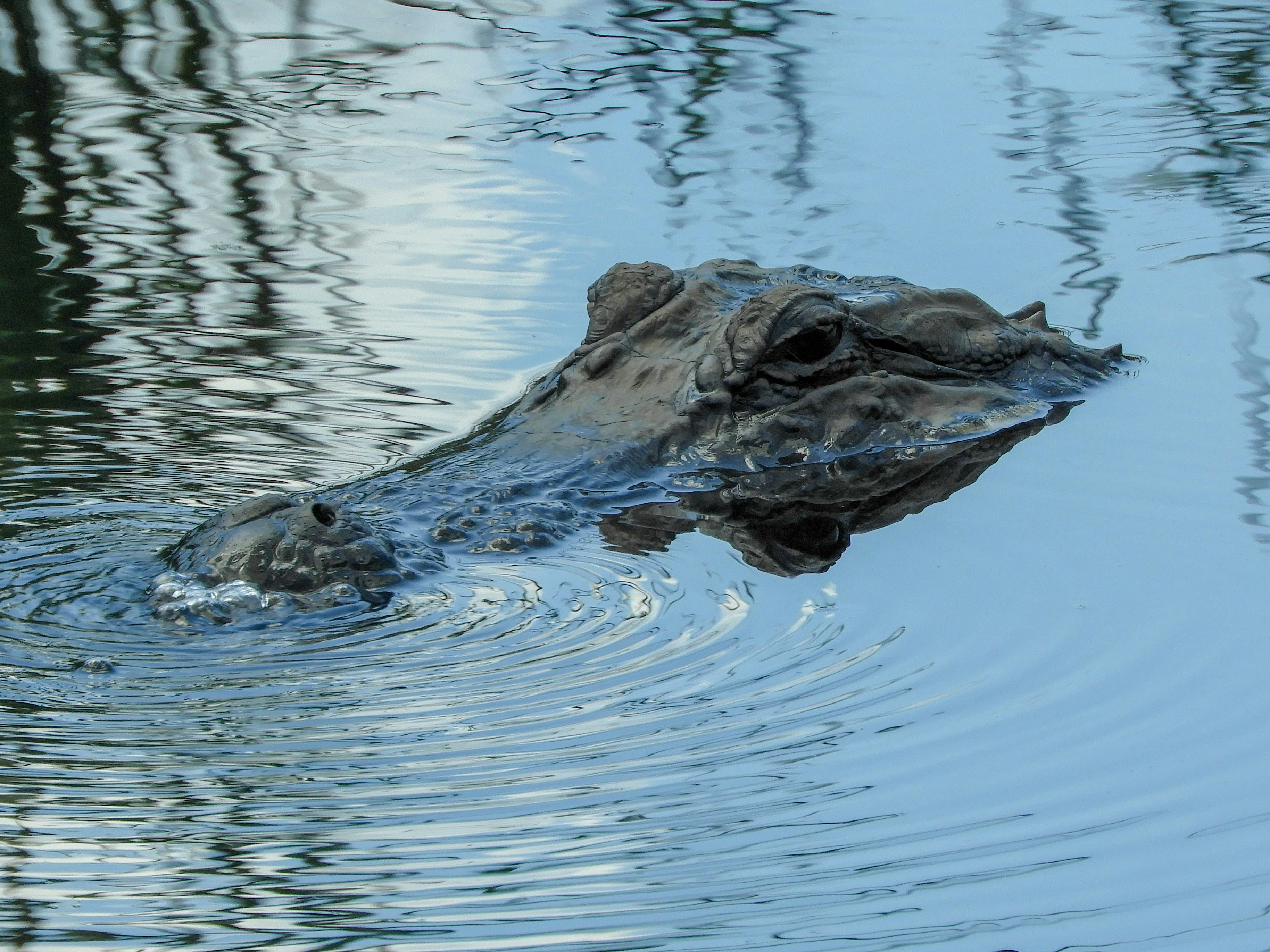 Photo by peterjmarshall