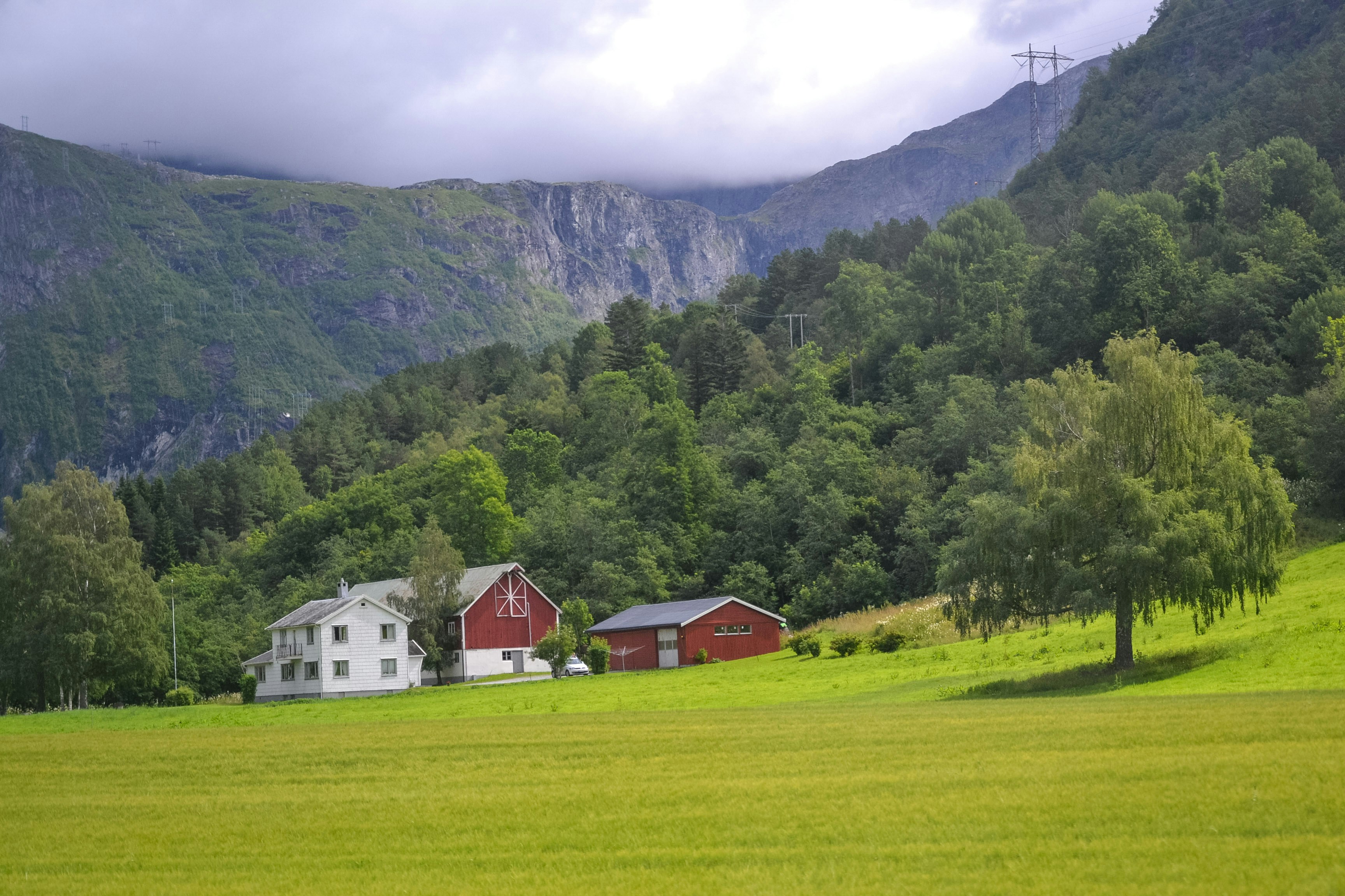 A green field with houses and mountains in the background