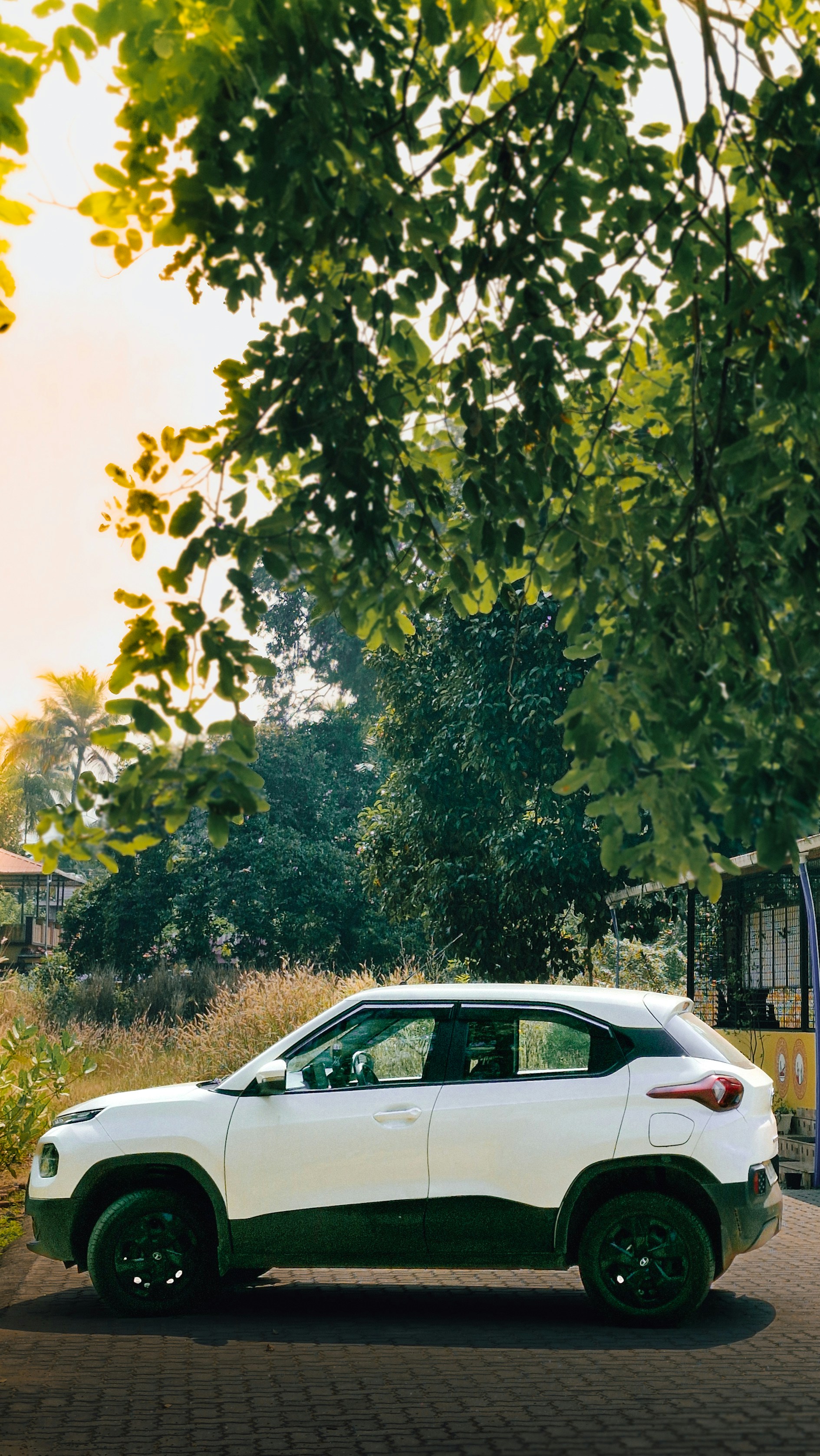 Photo by arununnikrishnan