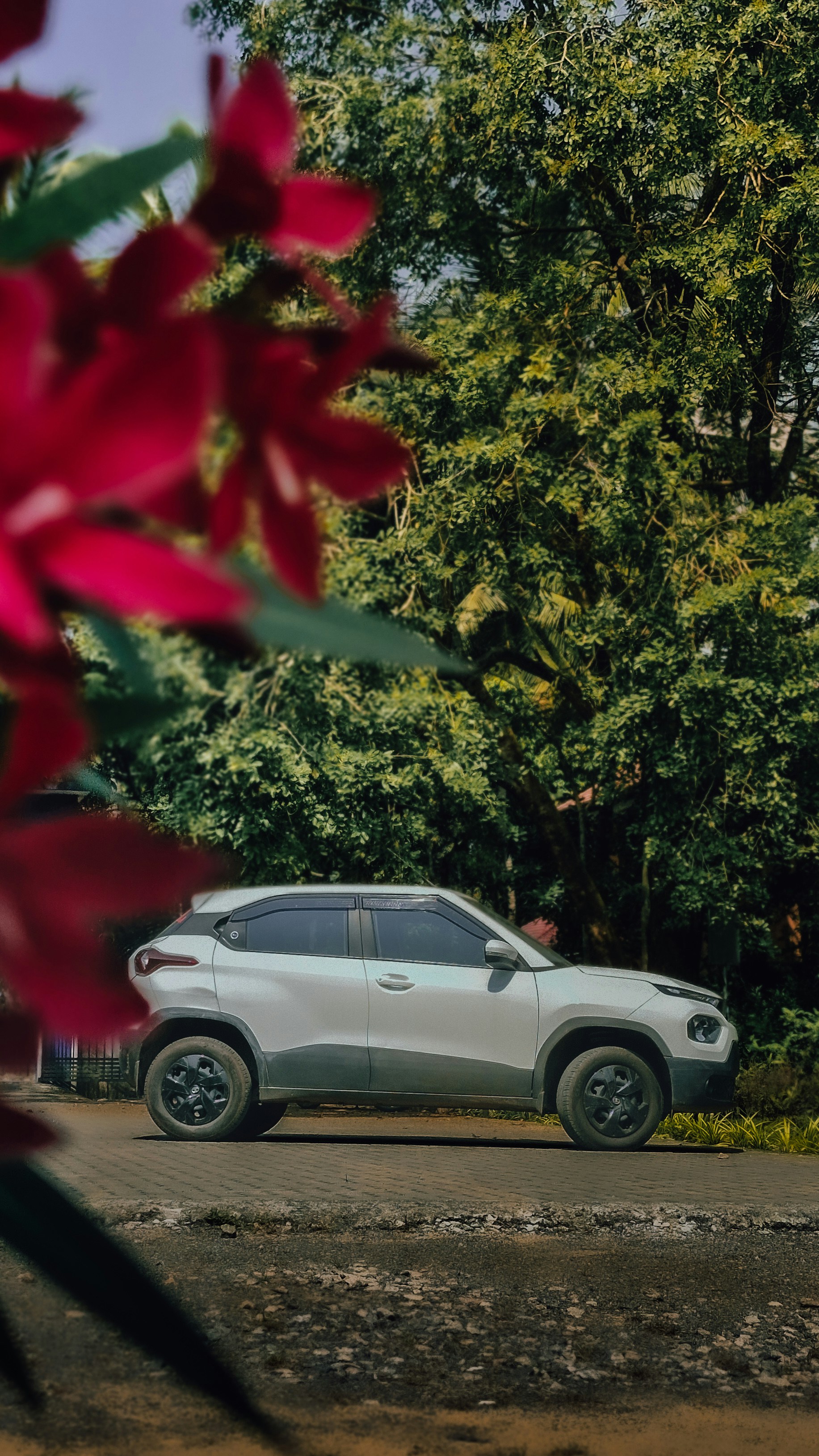 Photo by arununnikrishnan