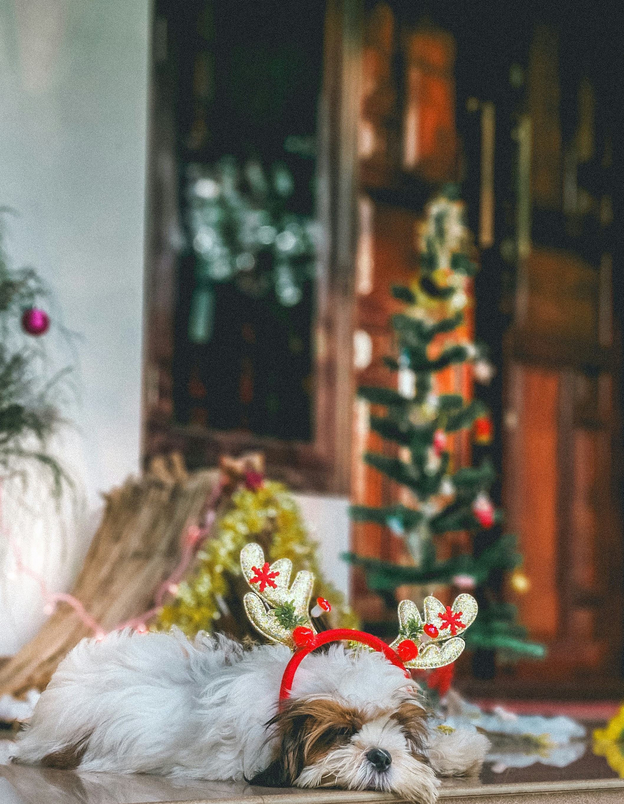 Photo by arununnikrishnan