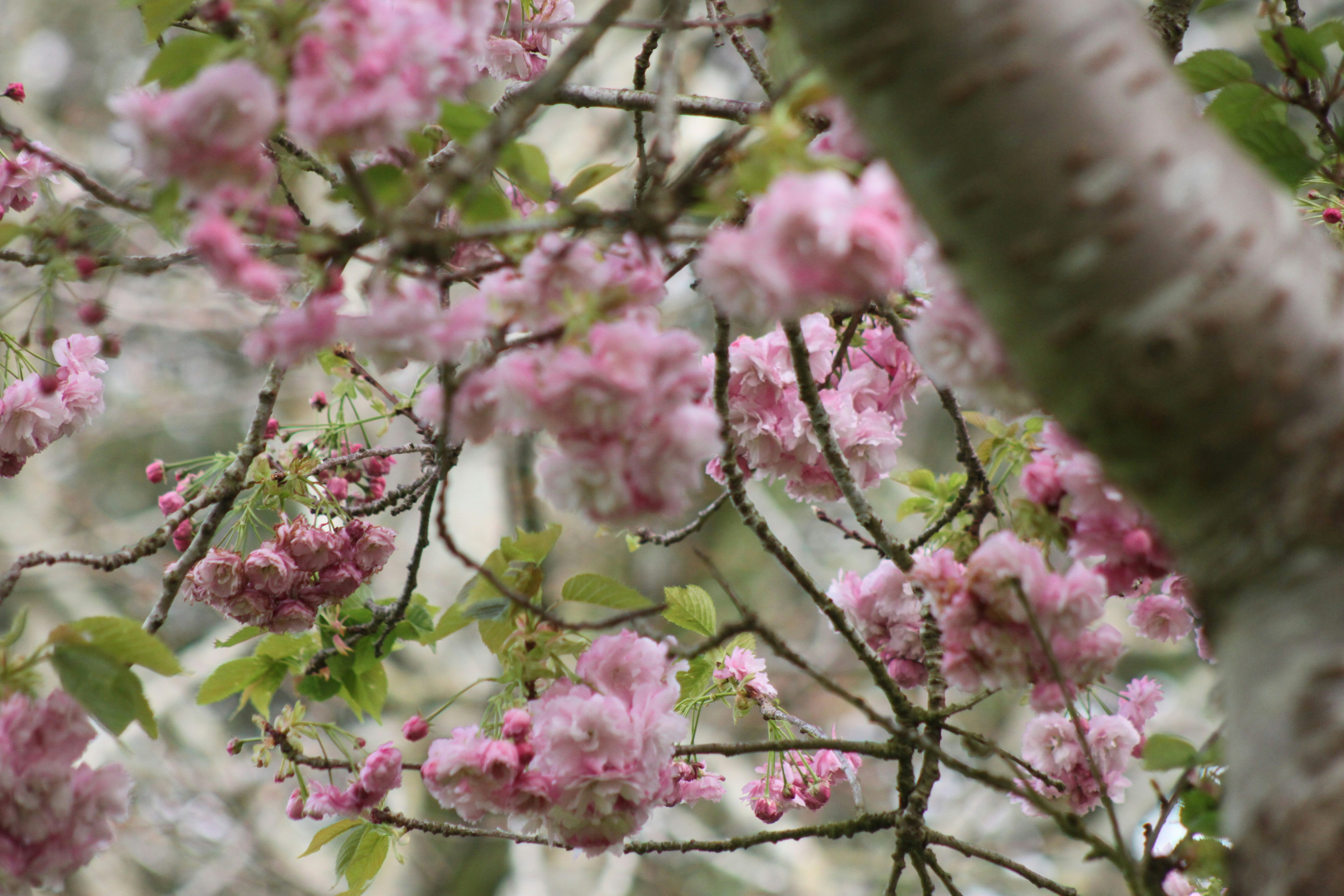 Photo by rubyphotography