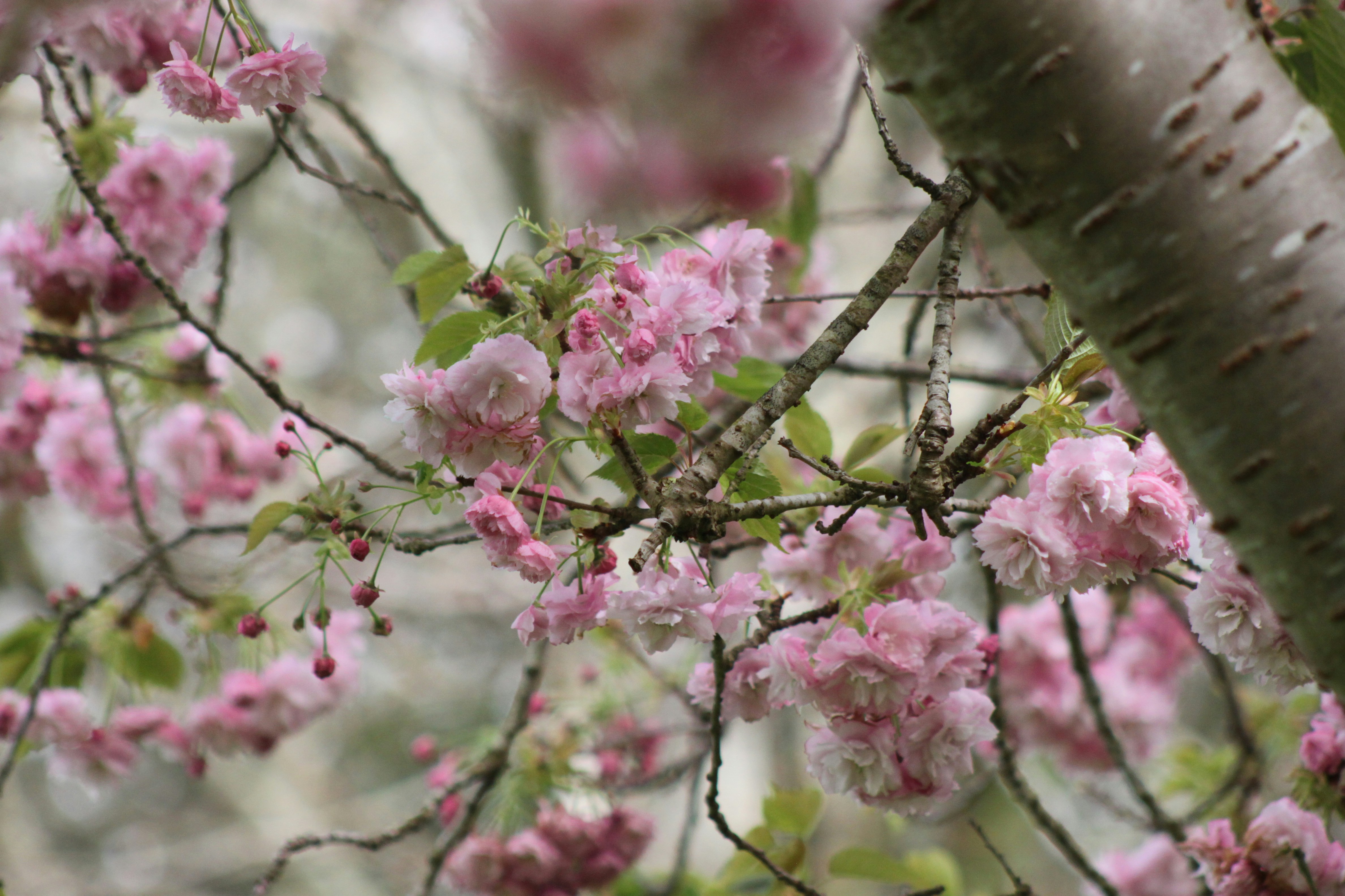 Photo by rubyphotography