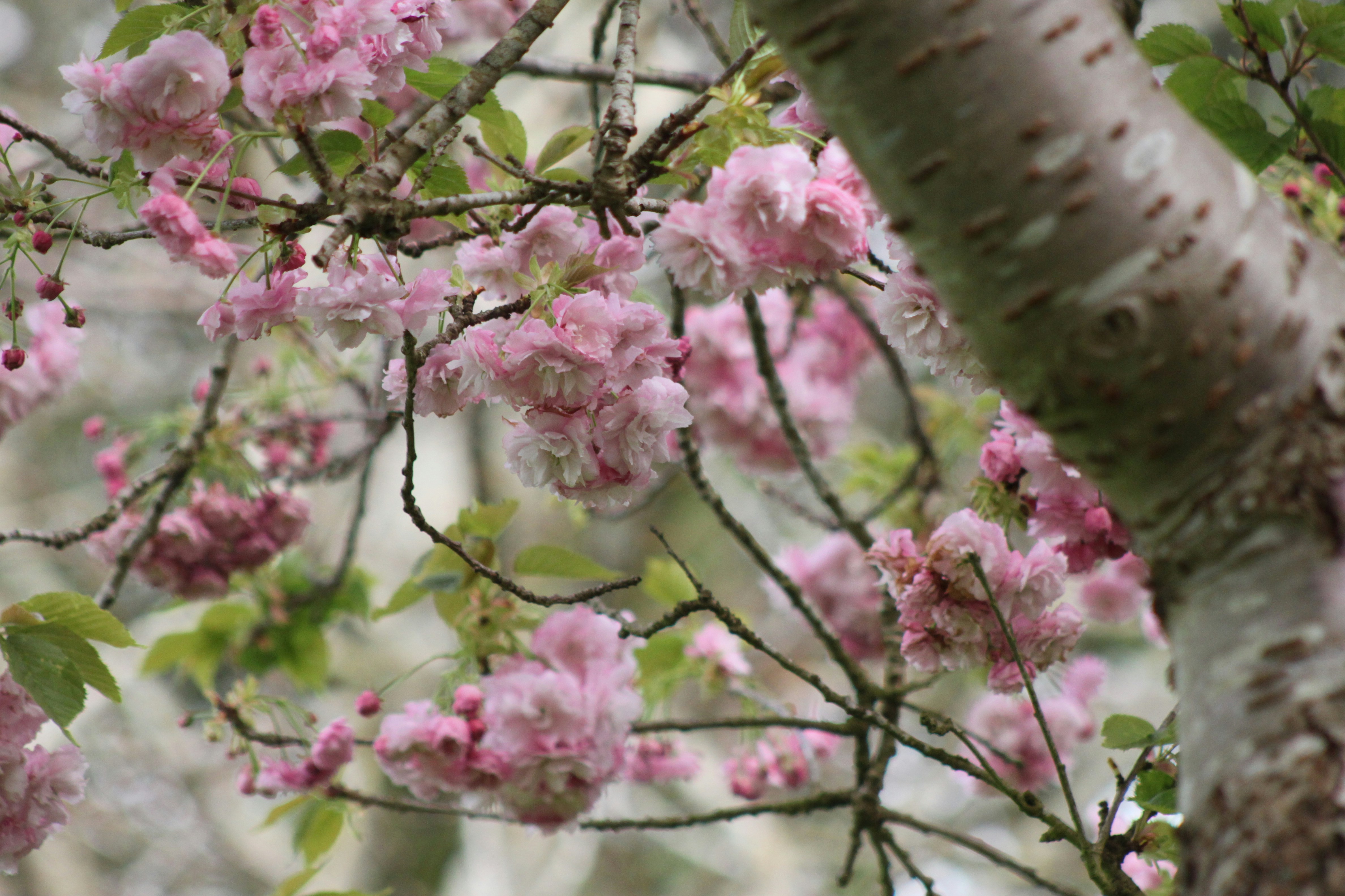 Photo by rubyphotography