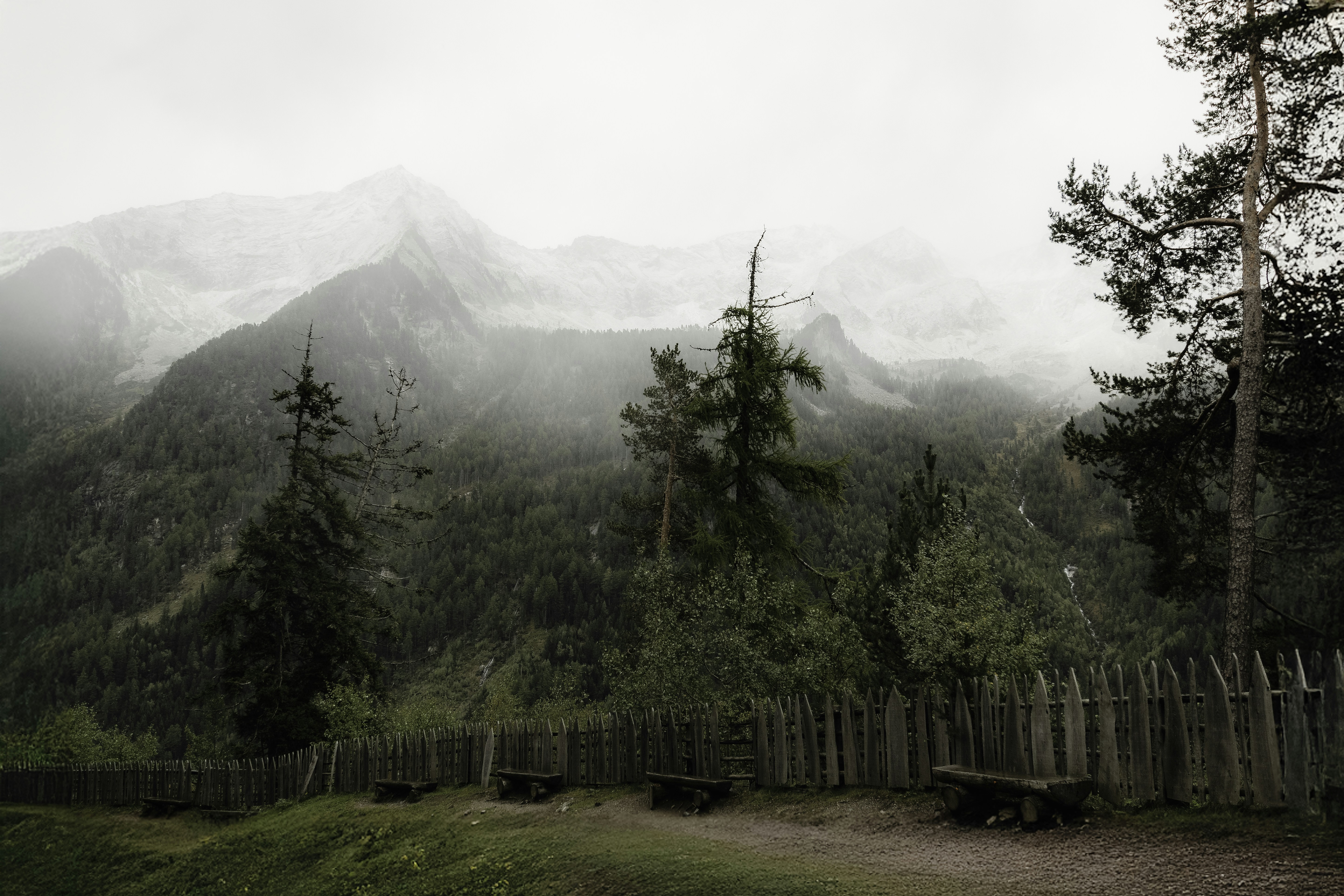 A wooden fence sitting next to a lush green forest