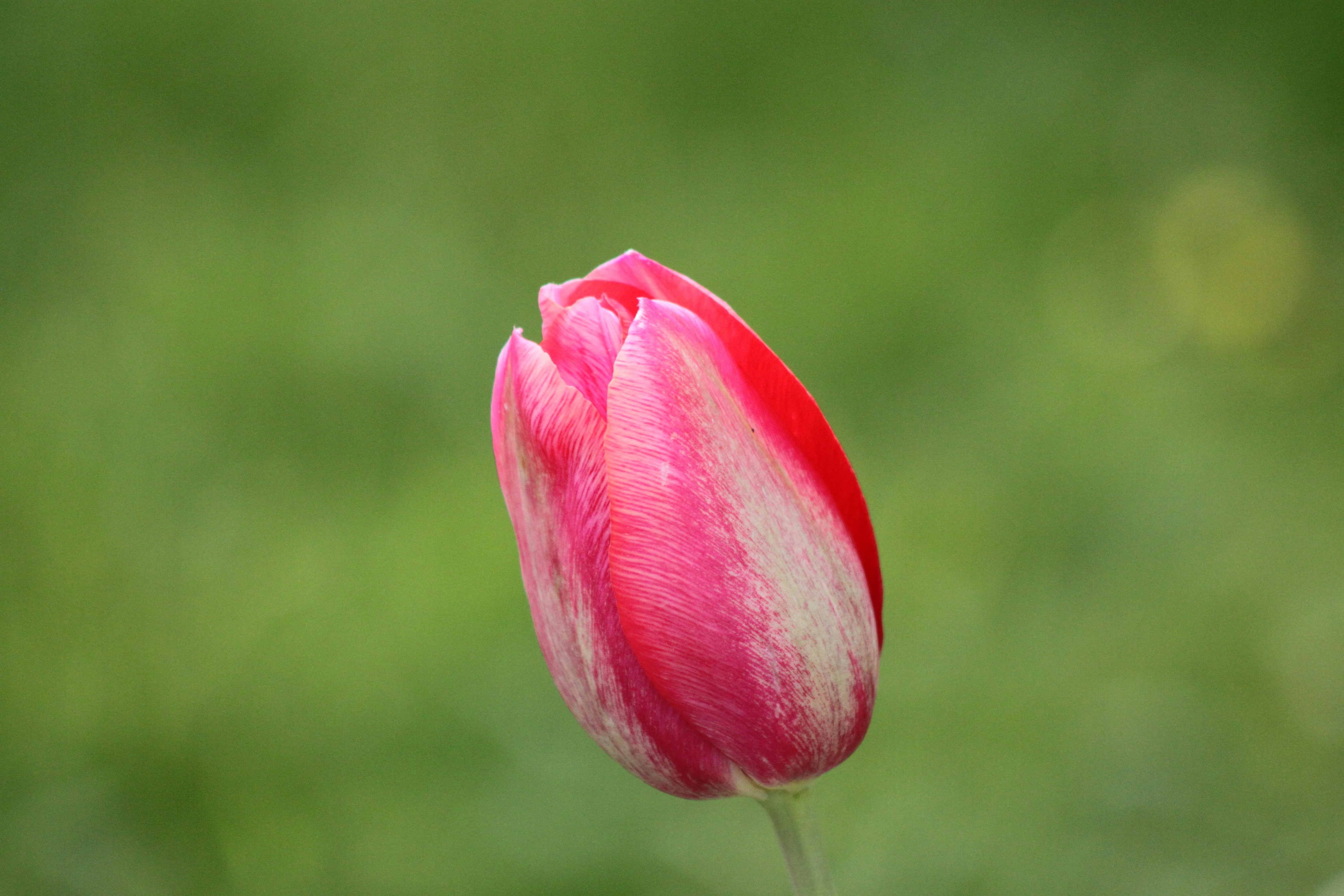 Photo by rubyphotography