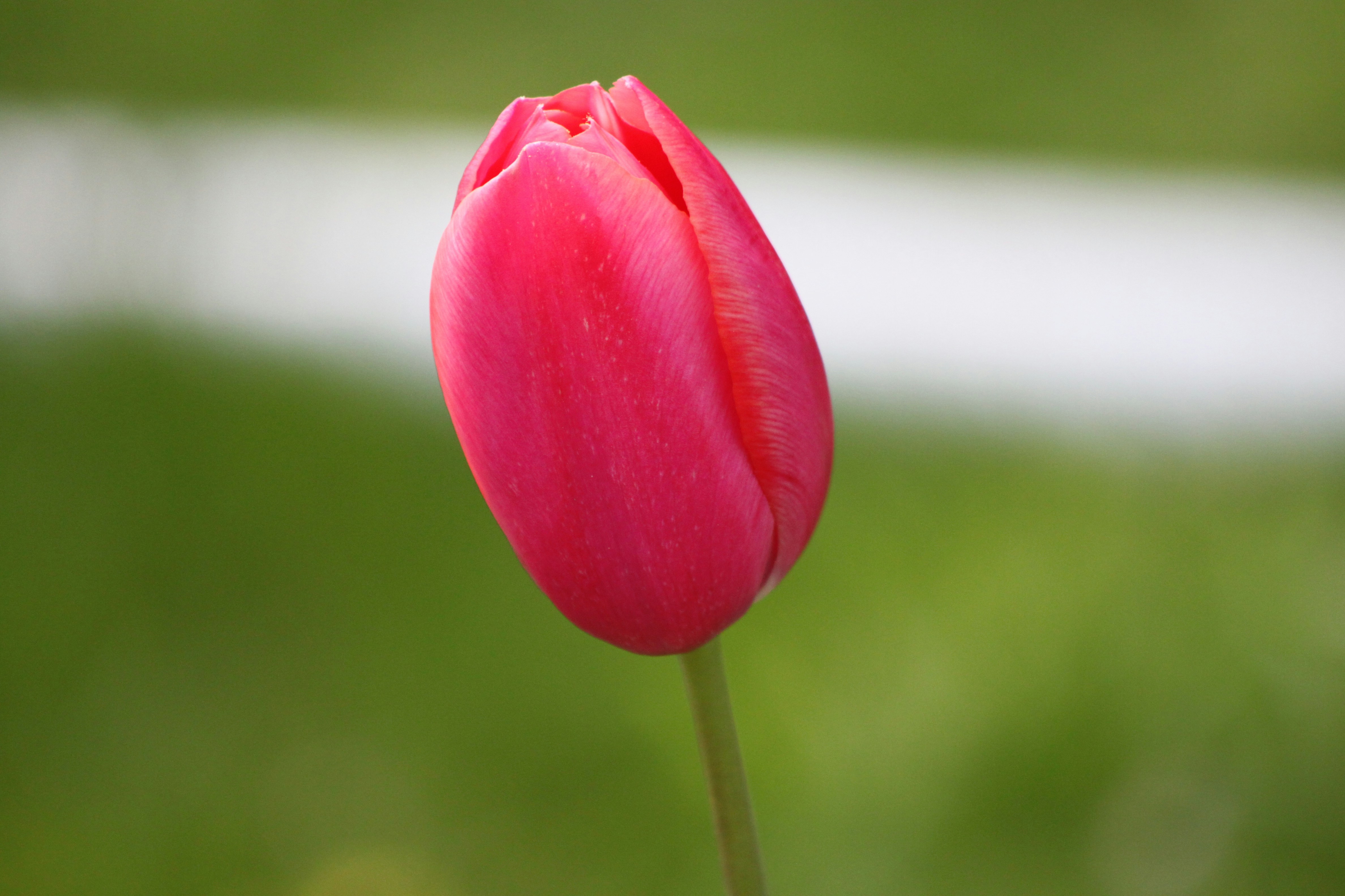 Photo by rubyphotography