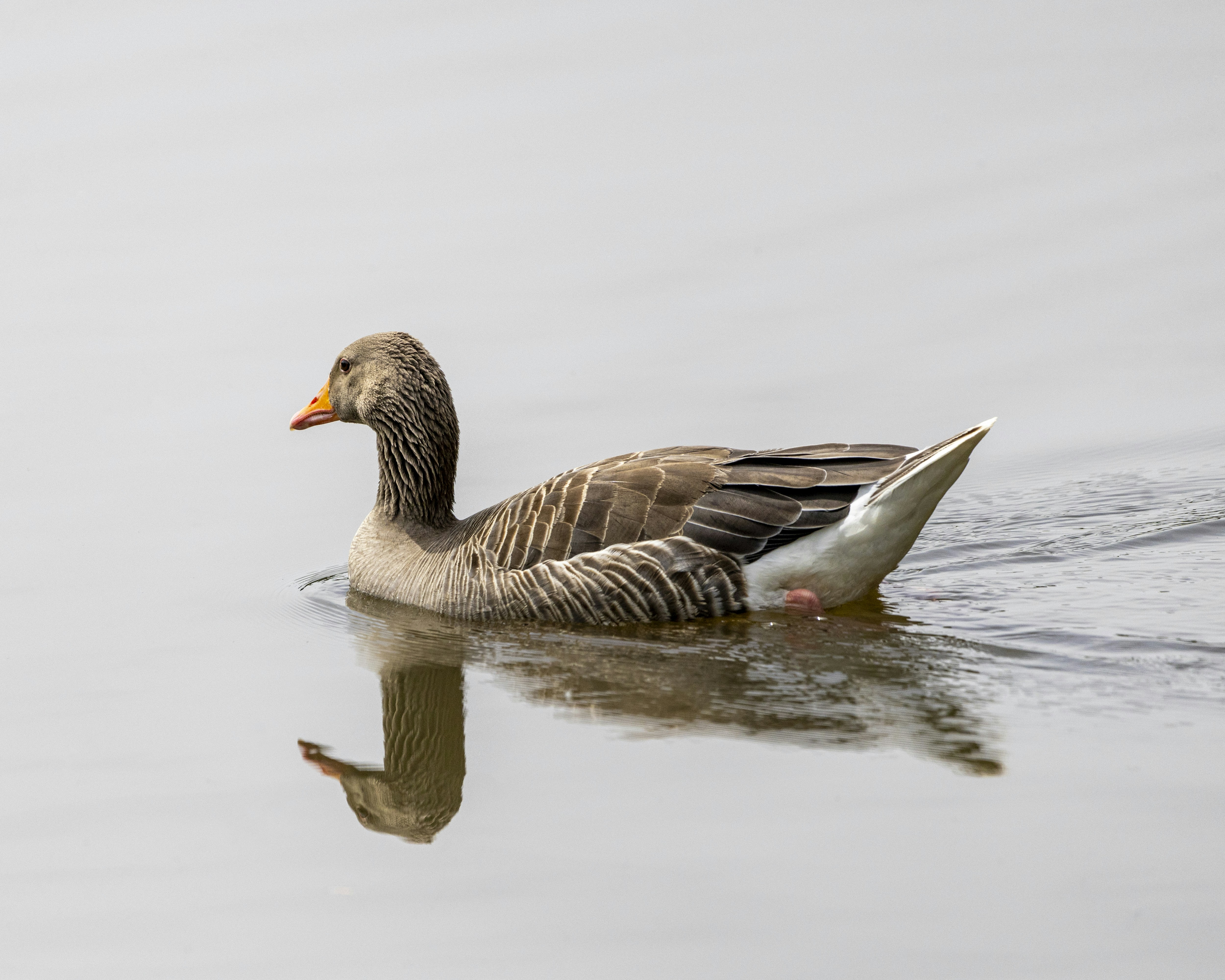 Photo by matthieur68