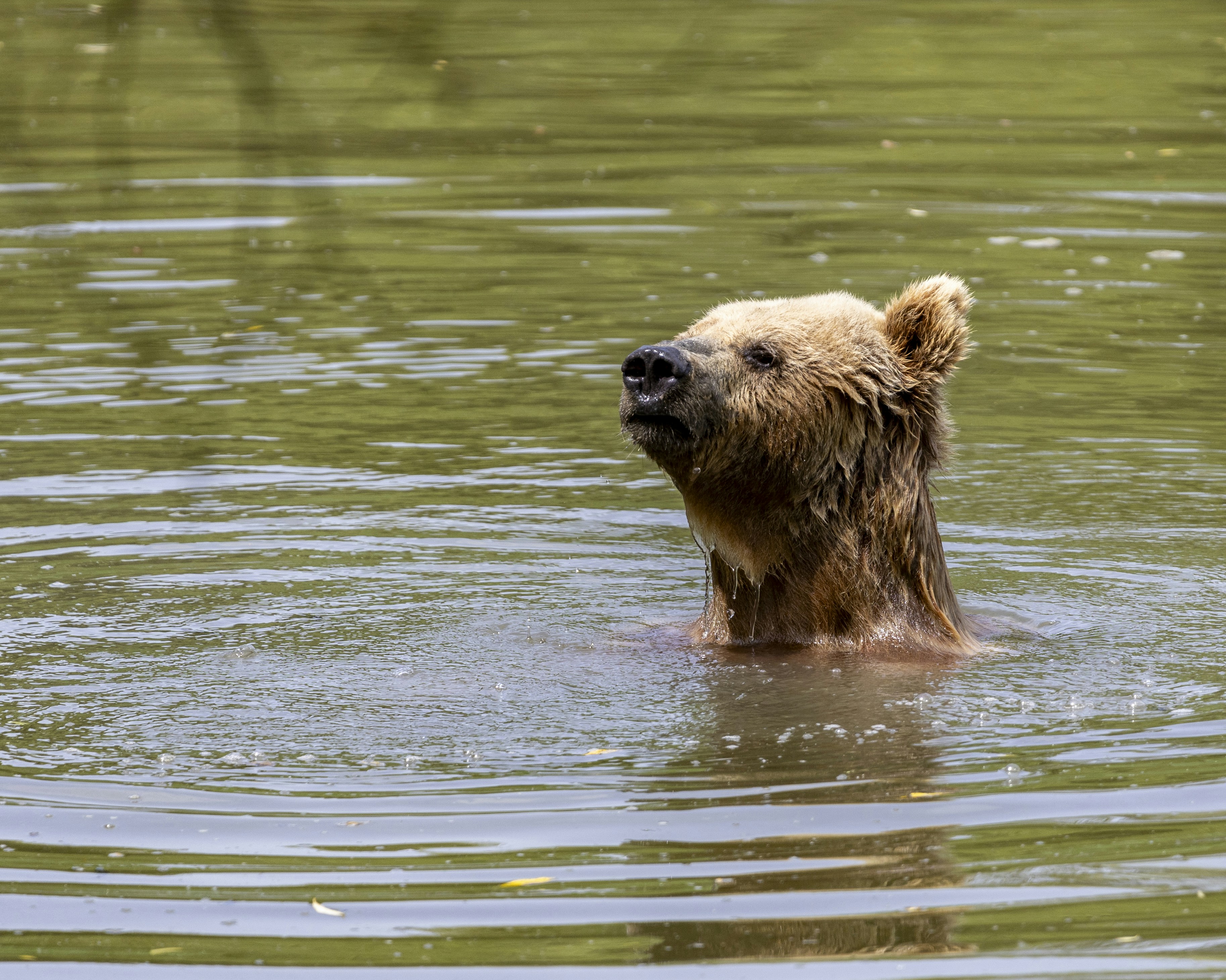 Photo by matthieur68