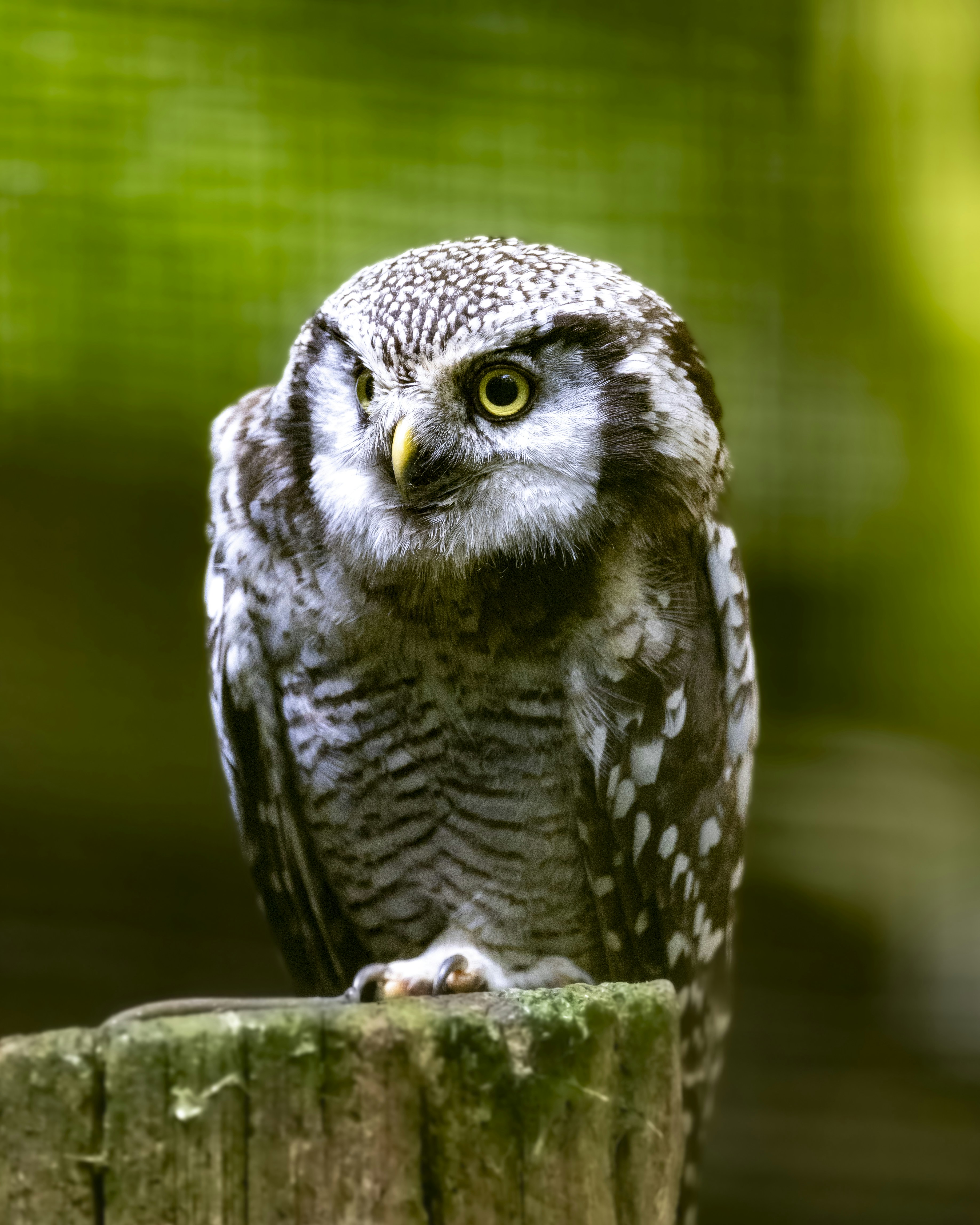 Photo by matthieur68