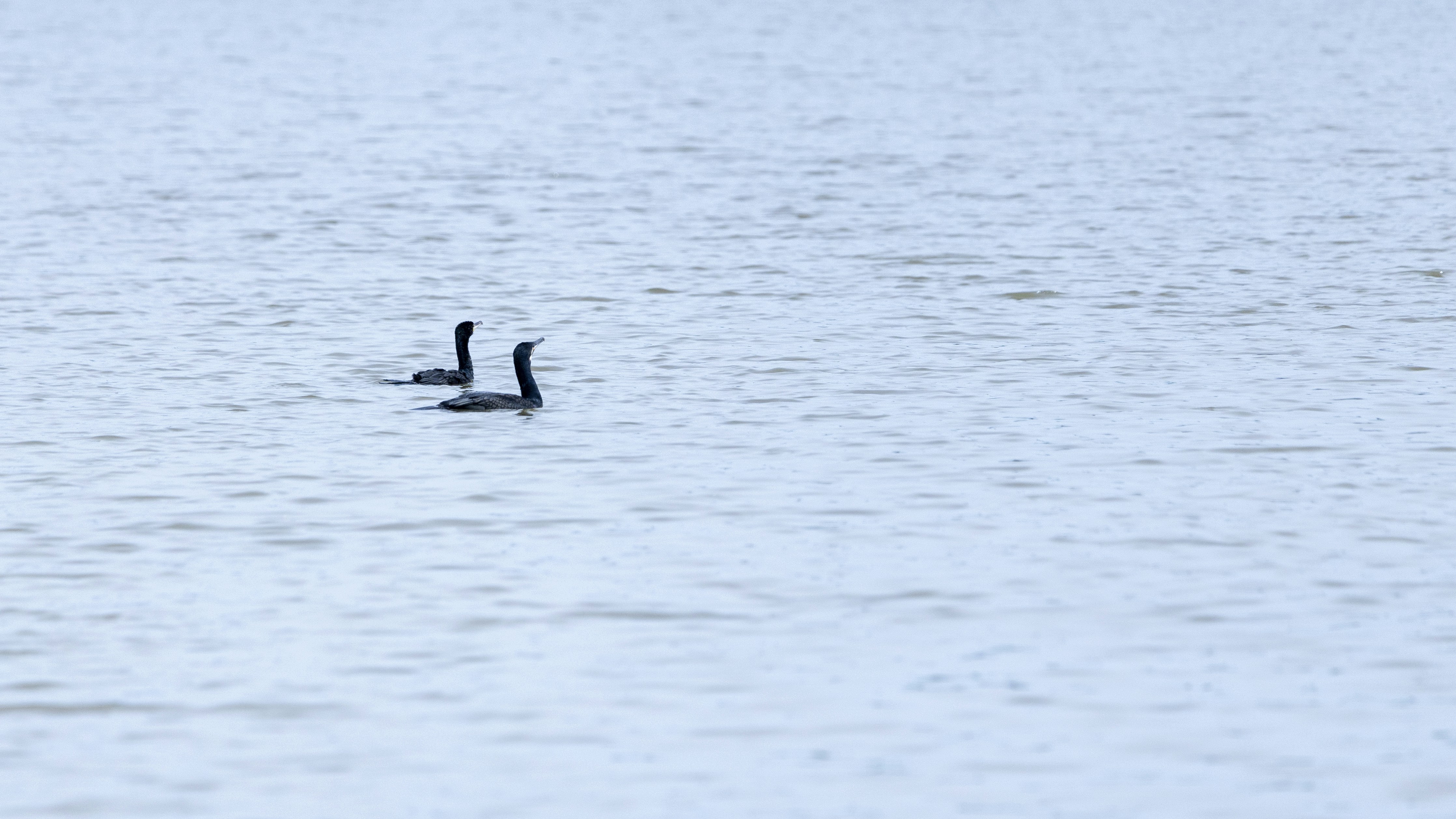 Photo by matthieur68