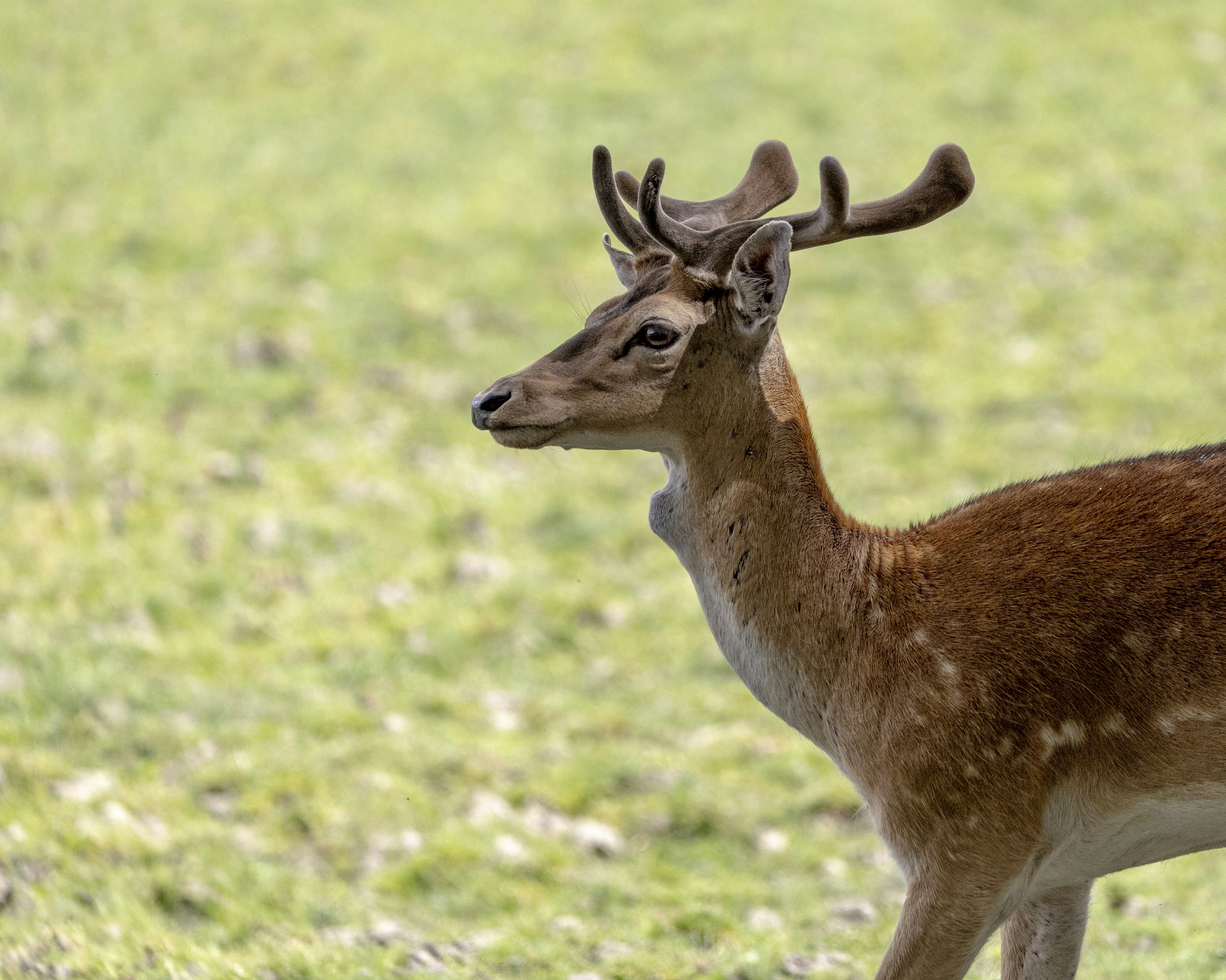 Photo by matthieur68