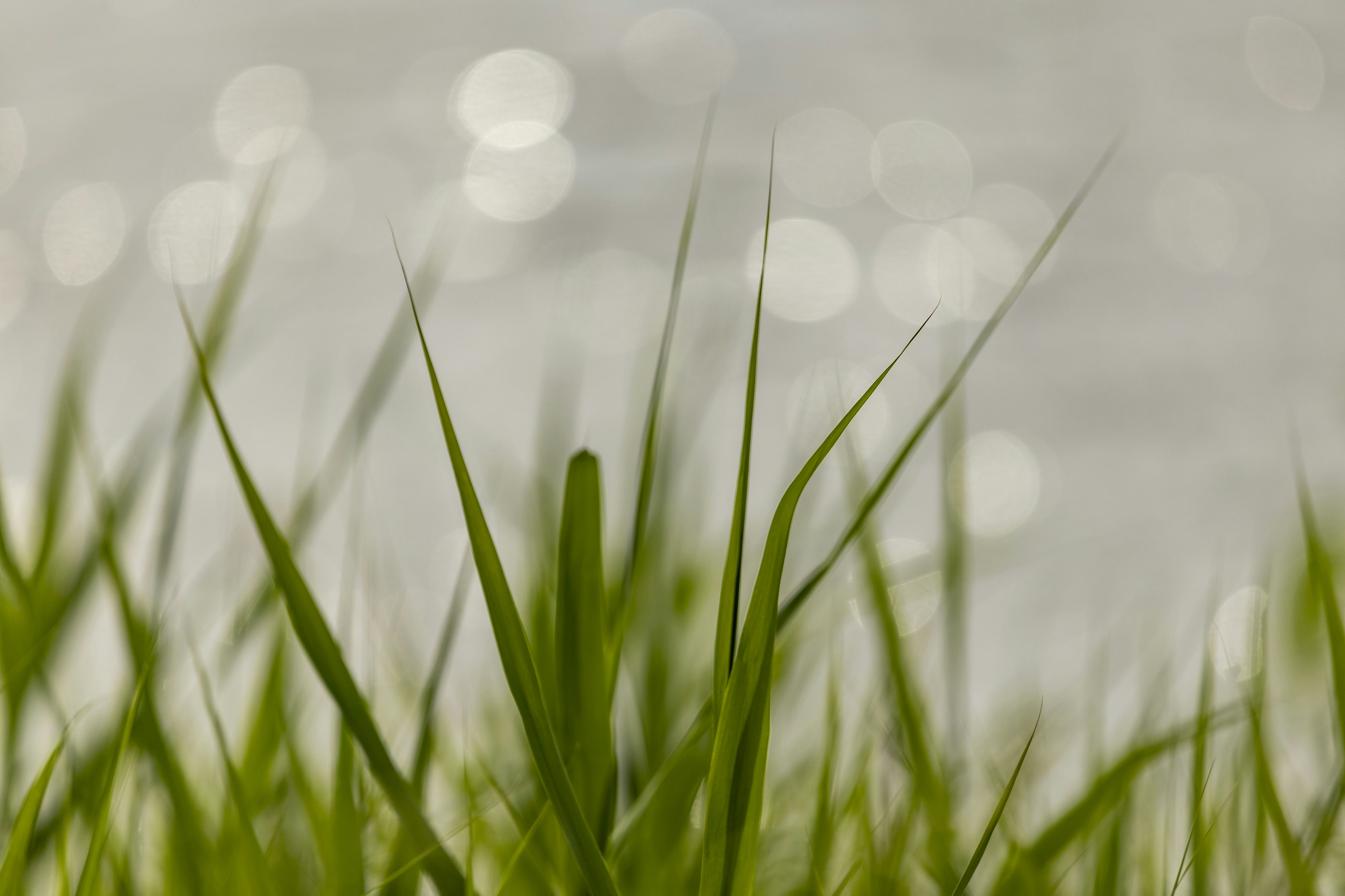 Photo by matthieur68