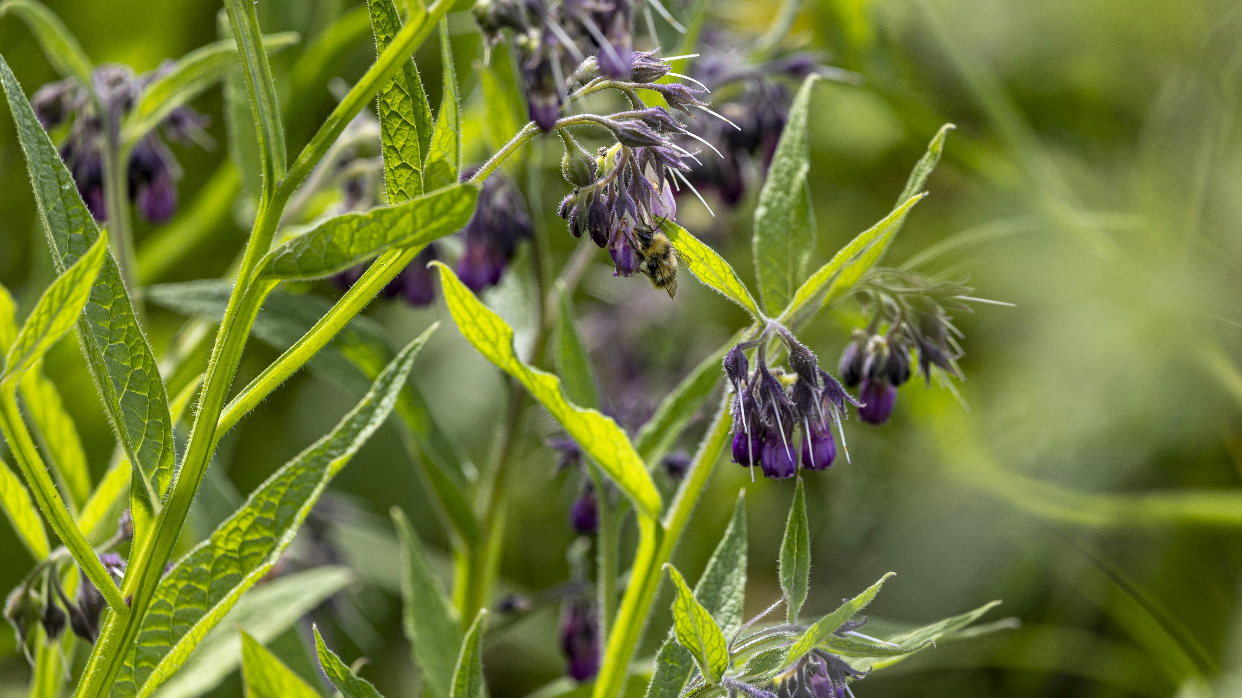 Photo by matthieur68