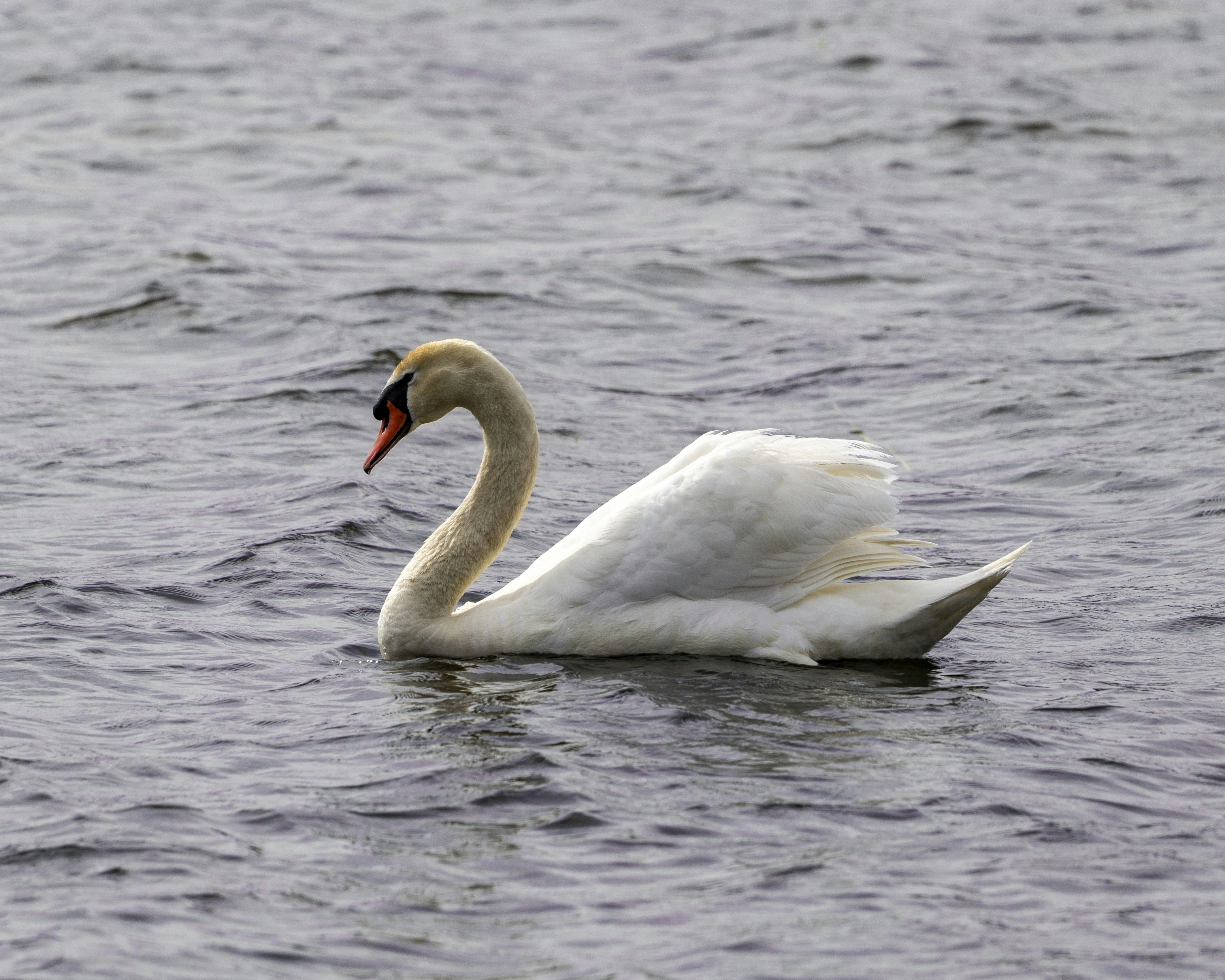 Photo by matthieur68