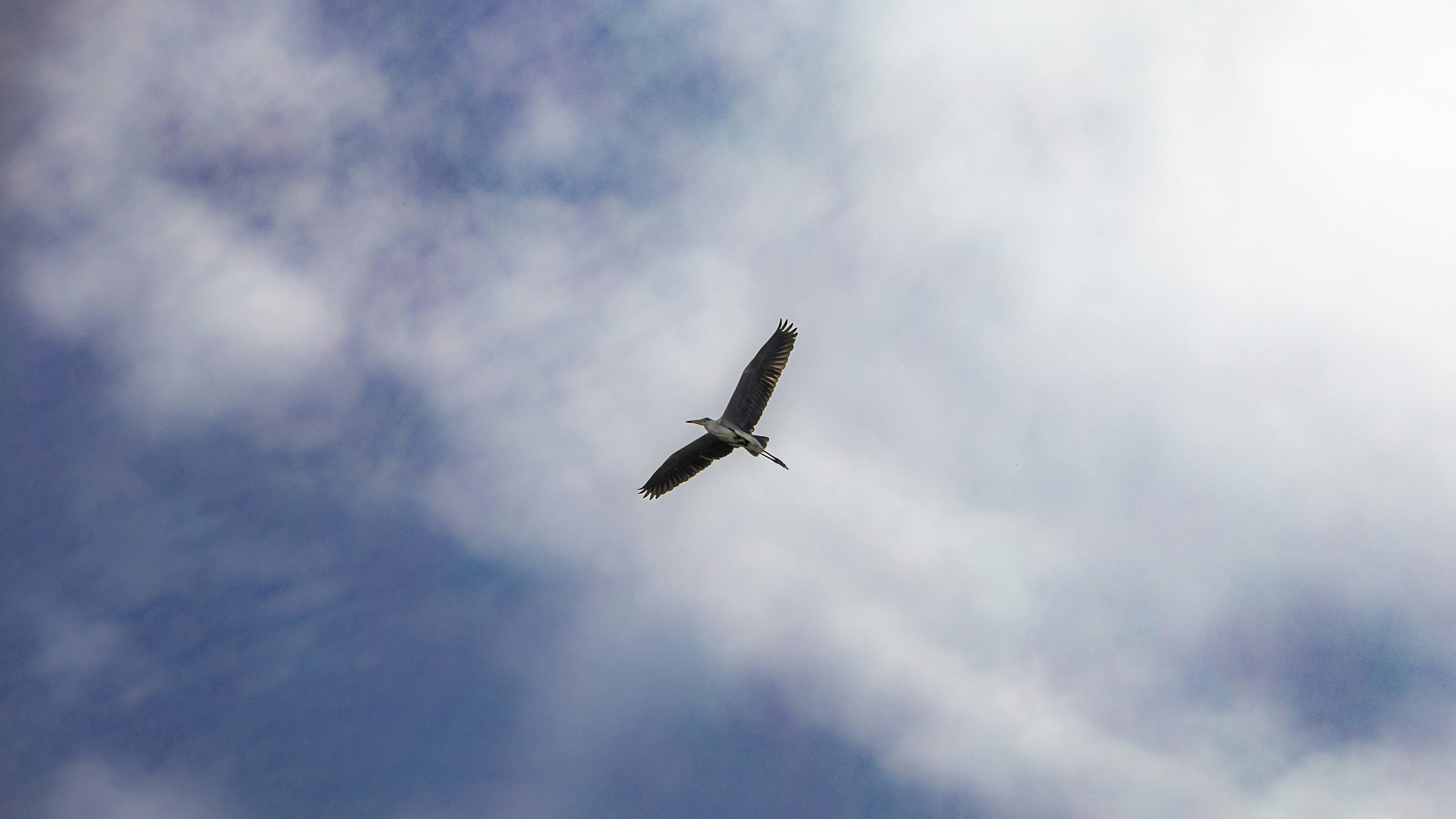 Photo by matthieur68