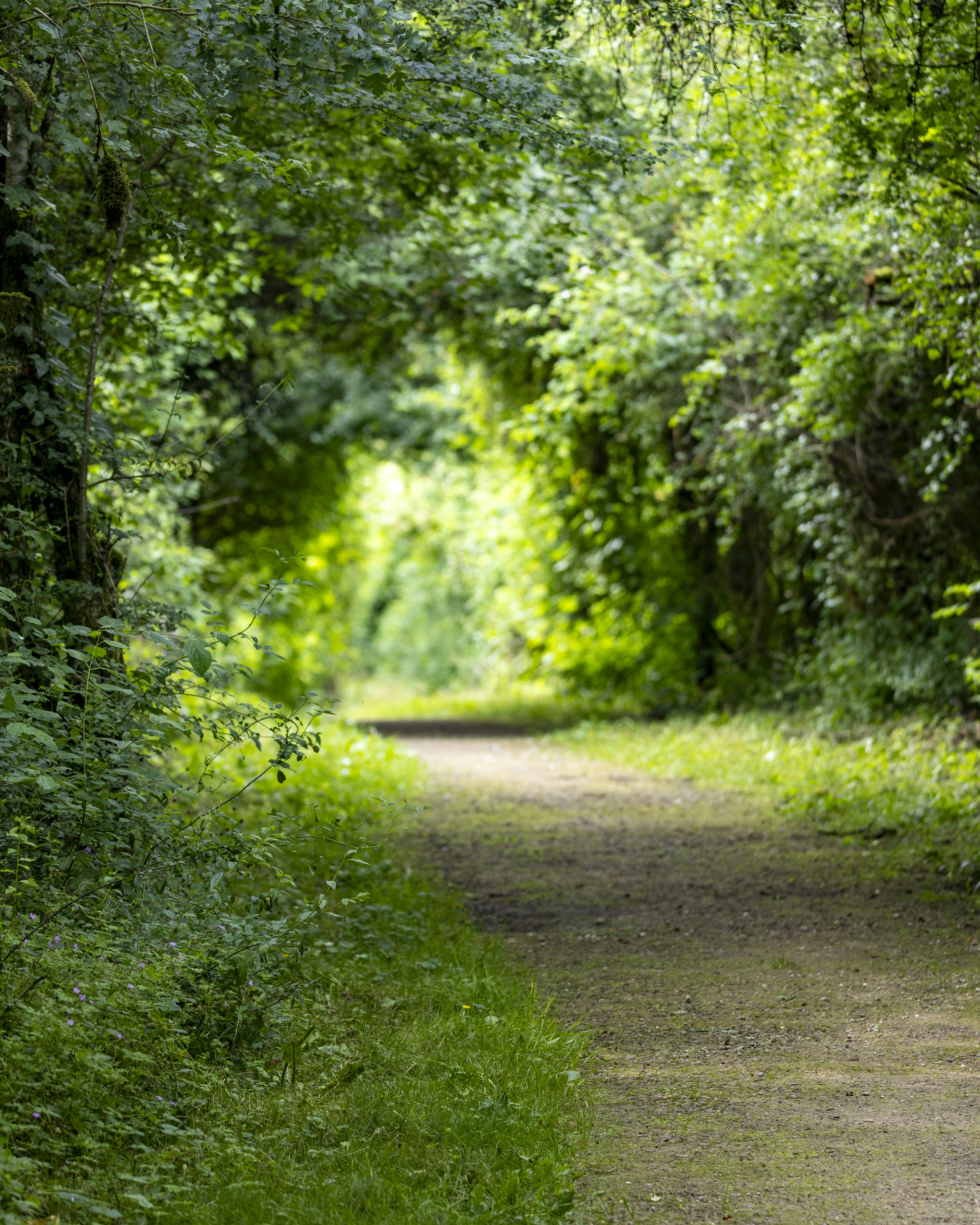 Photo by matthieur68