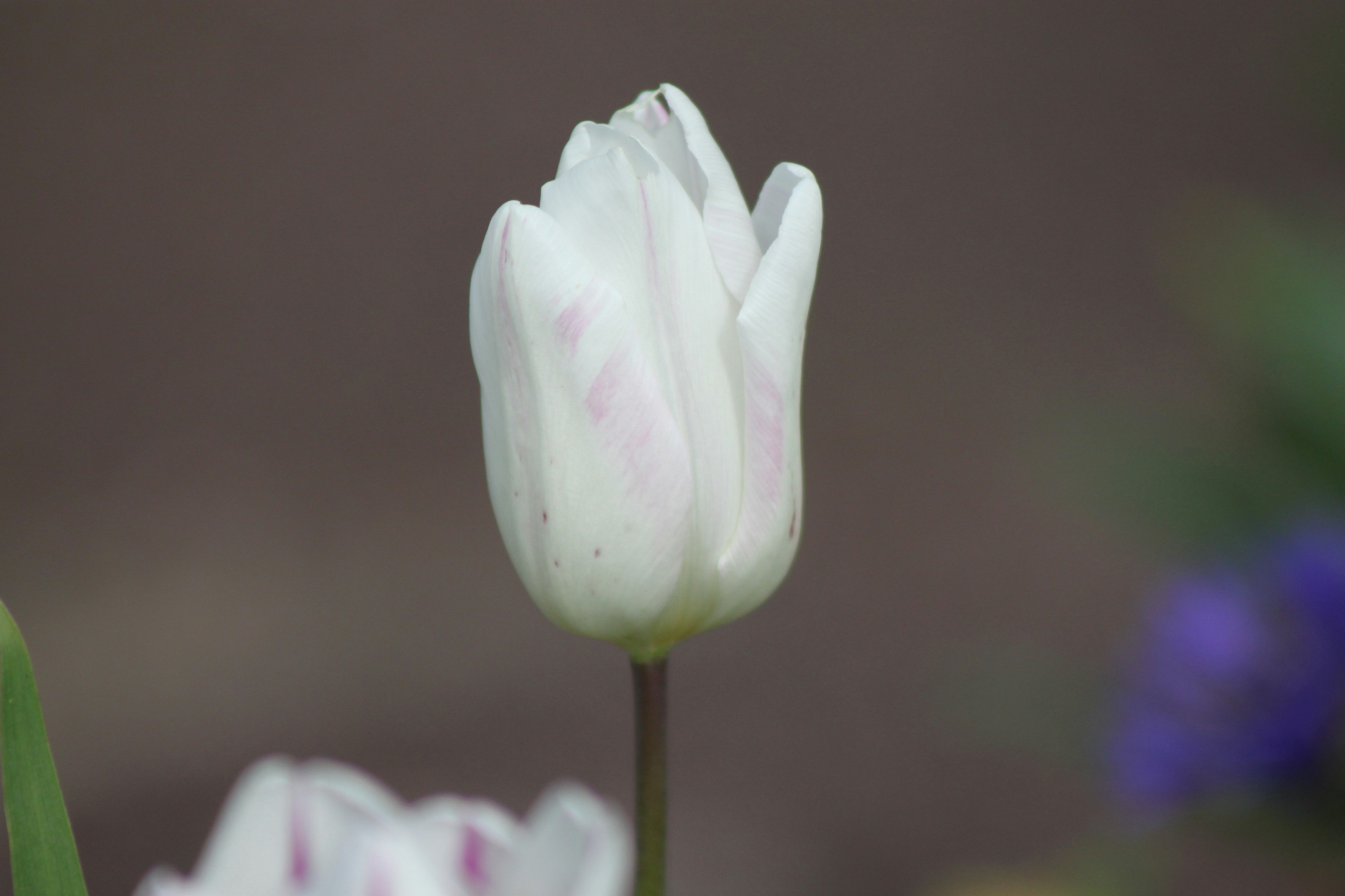 Photo by rubyphotography