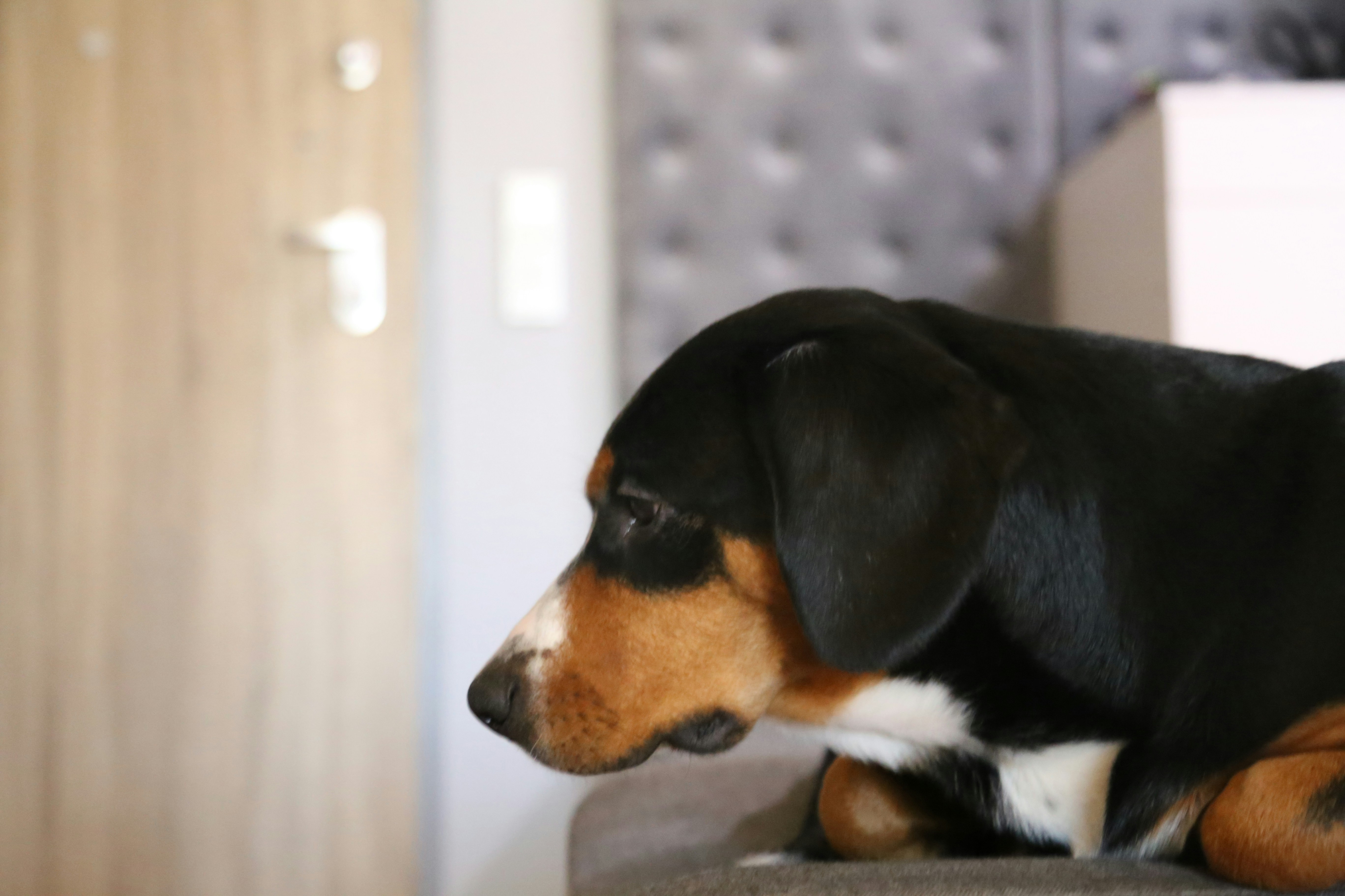 Conclusion: Listen With Your Eyes, Not Just Your Ears