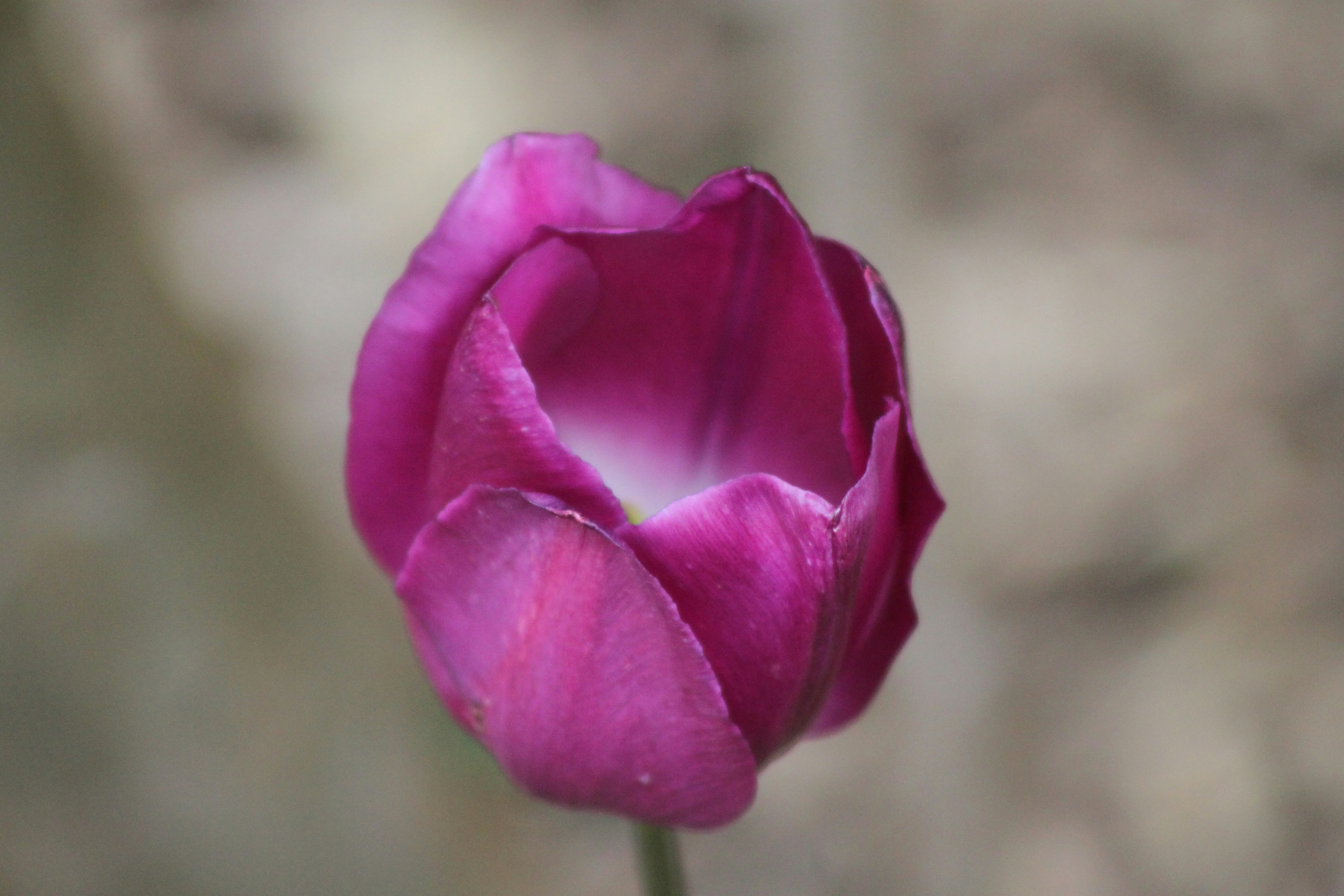 Photo by rubyphotography