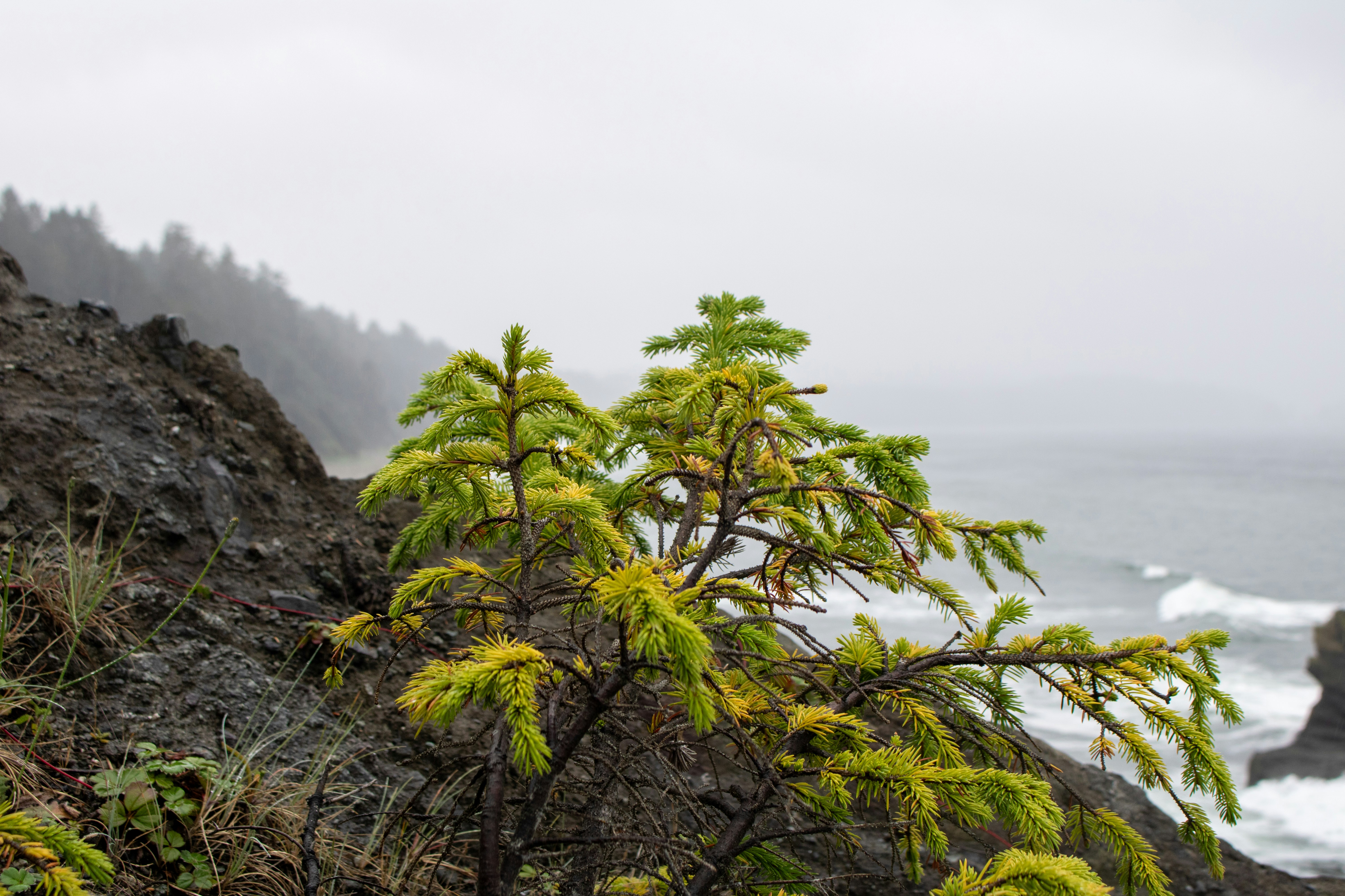 Photo by zoshuacolah