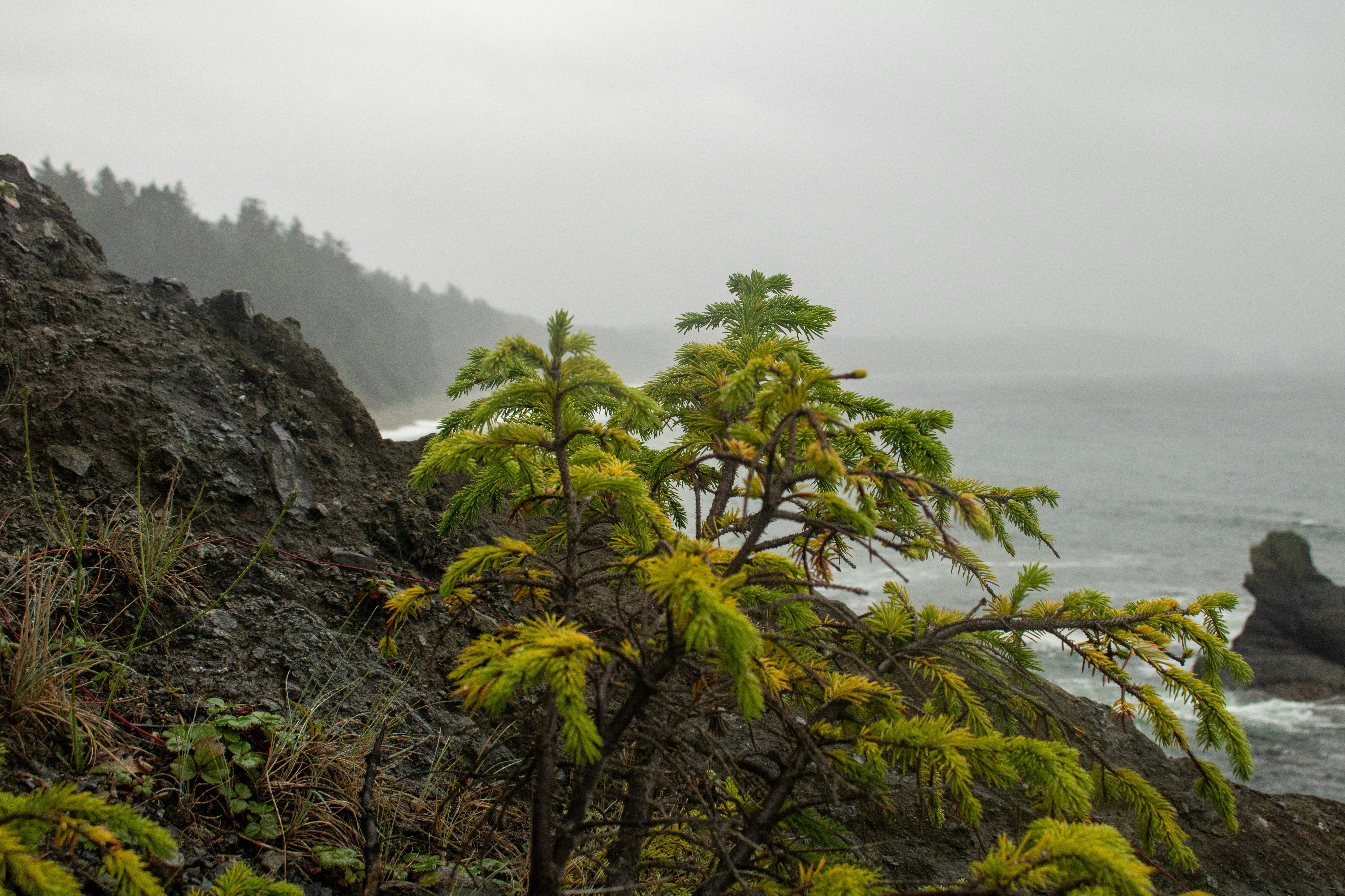 Photo by zoshuacolah