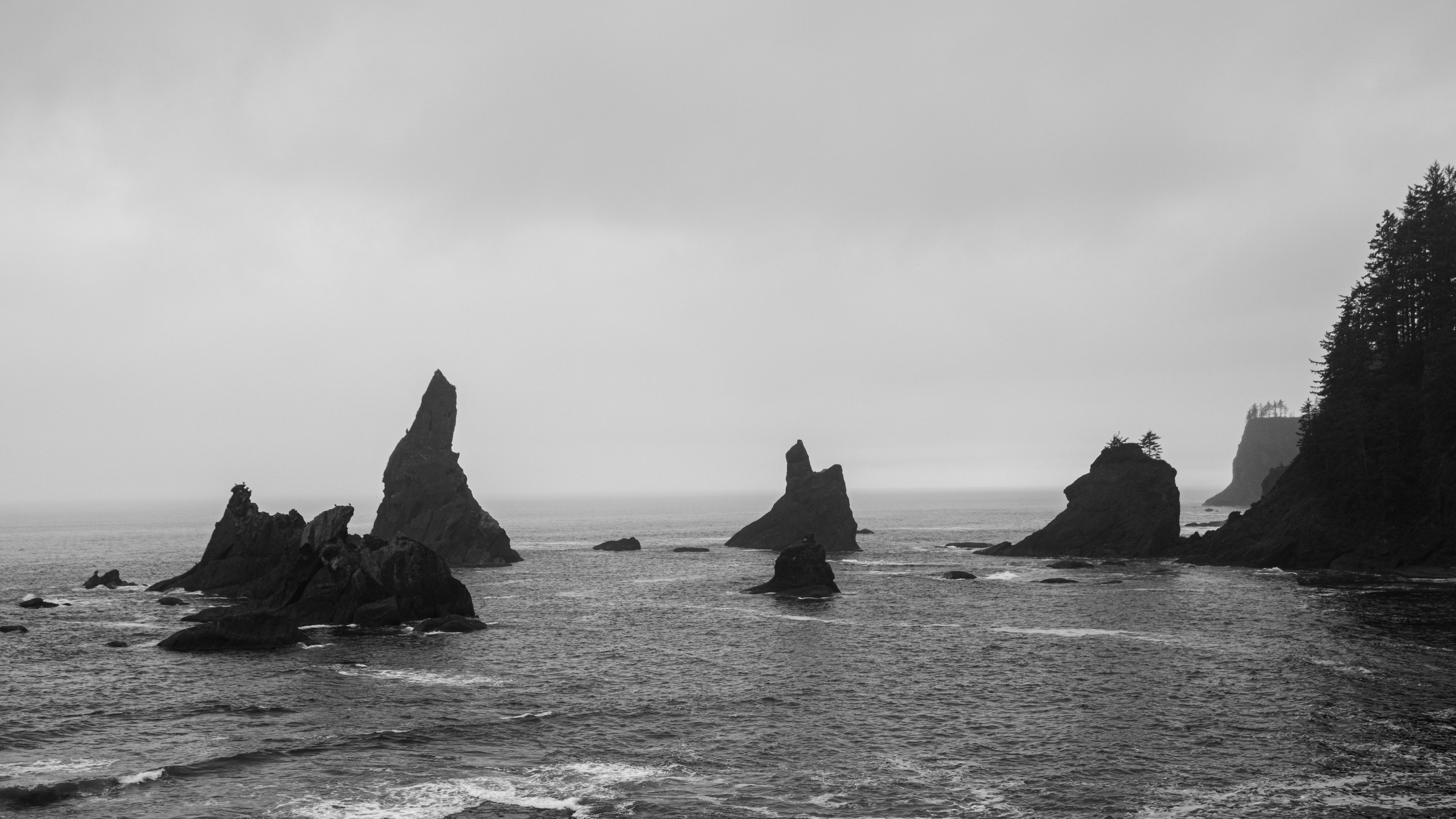 Photo by zoshuacolah