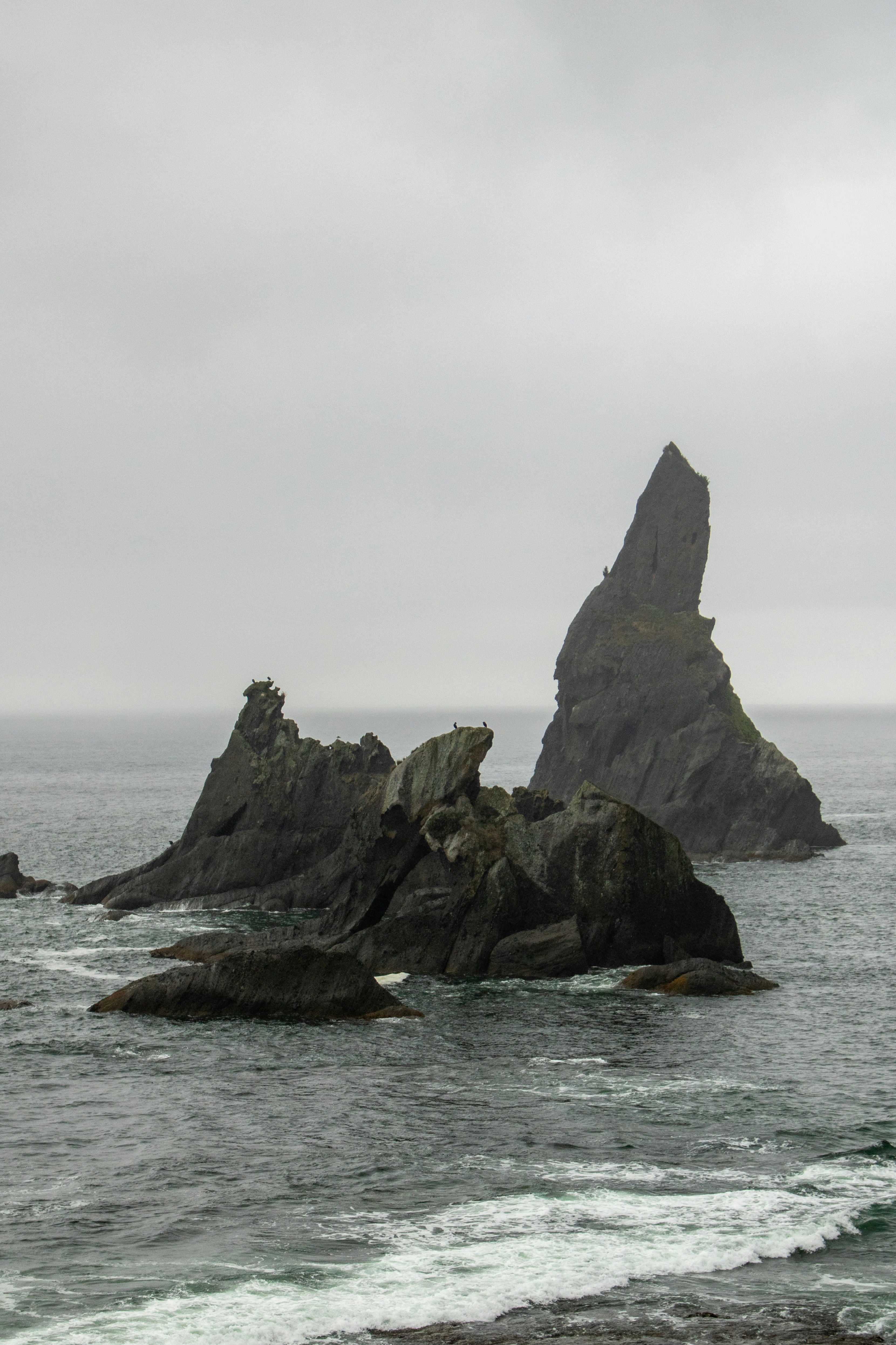 Photo by zoshuacolah