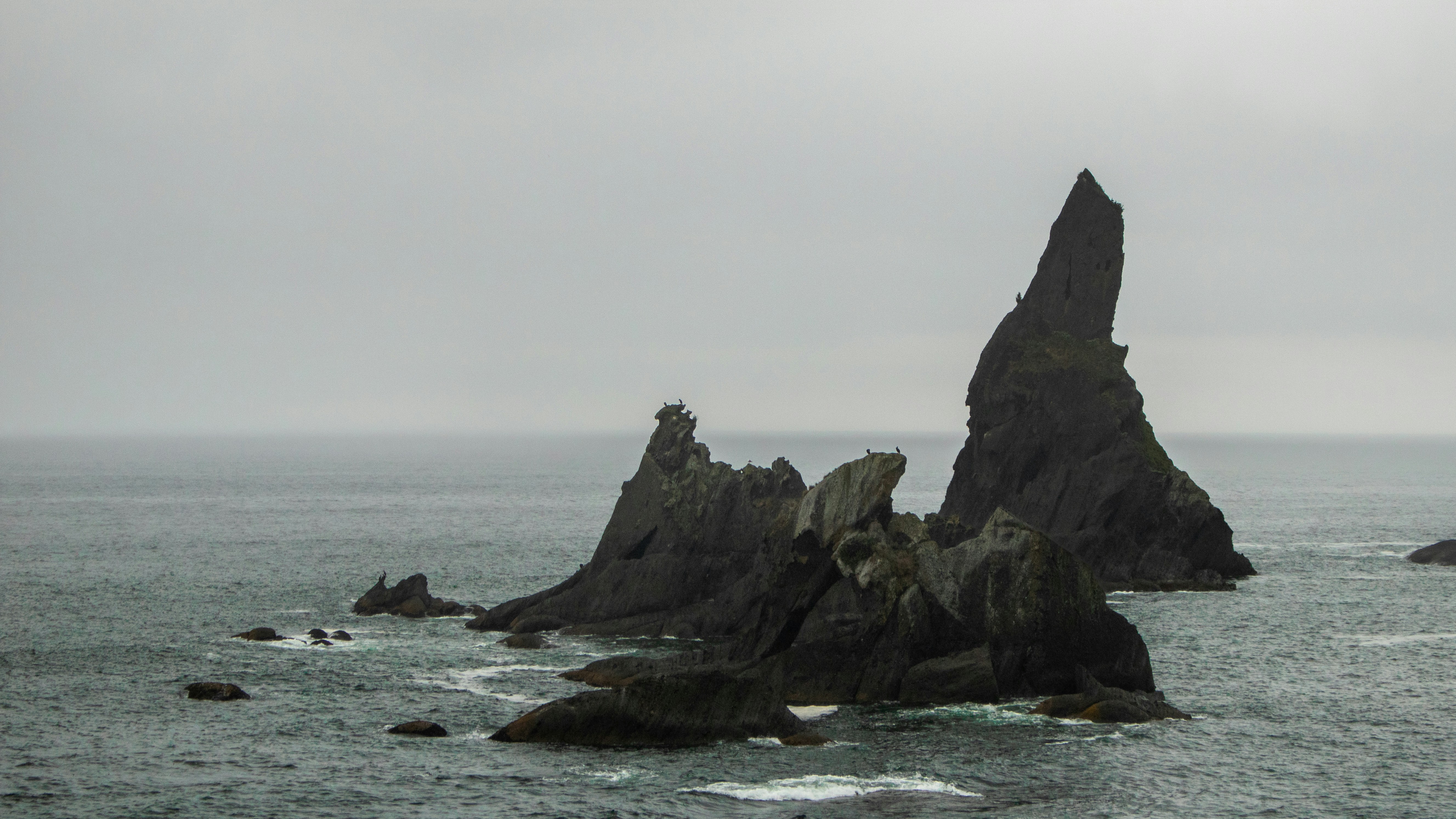 Photo by zoshuacolah