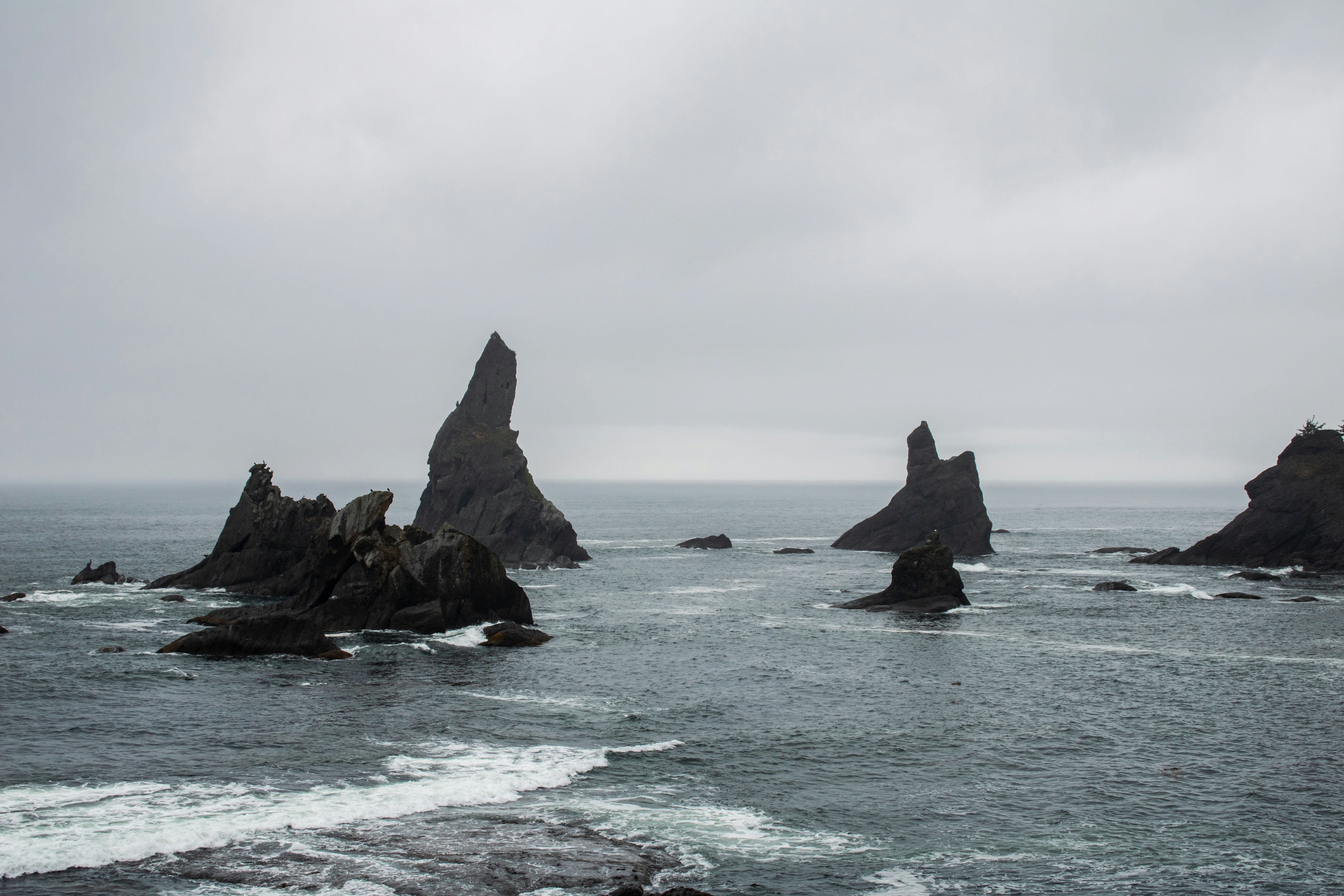 Photo by zoshuacolah