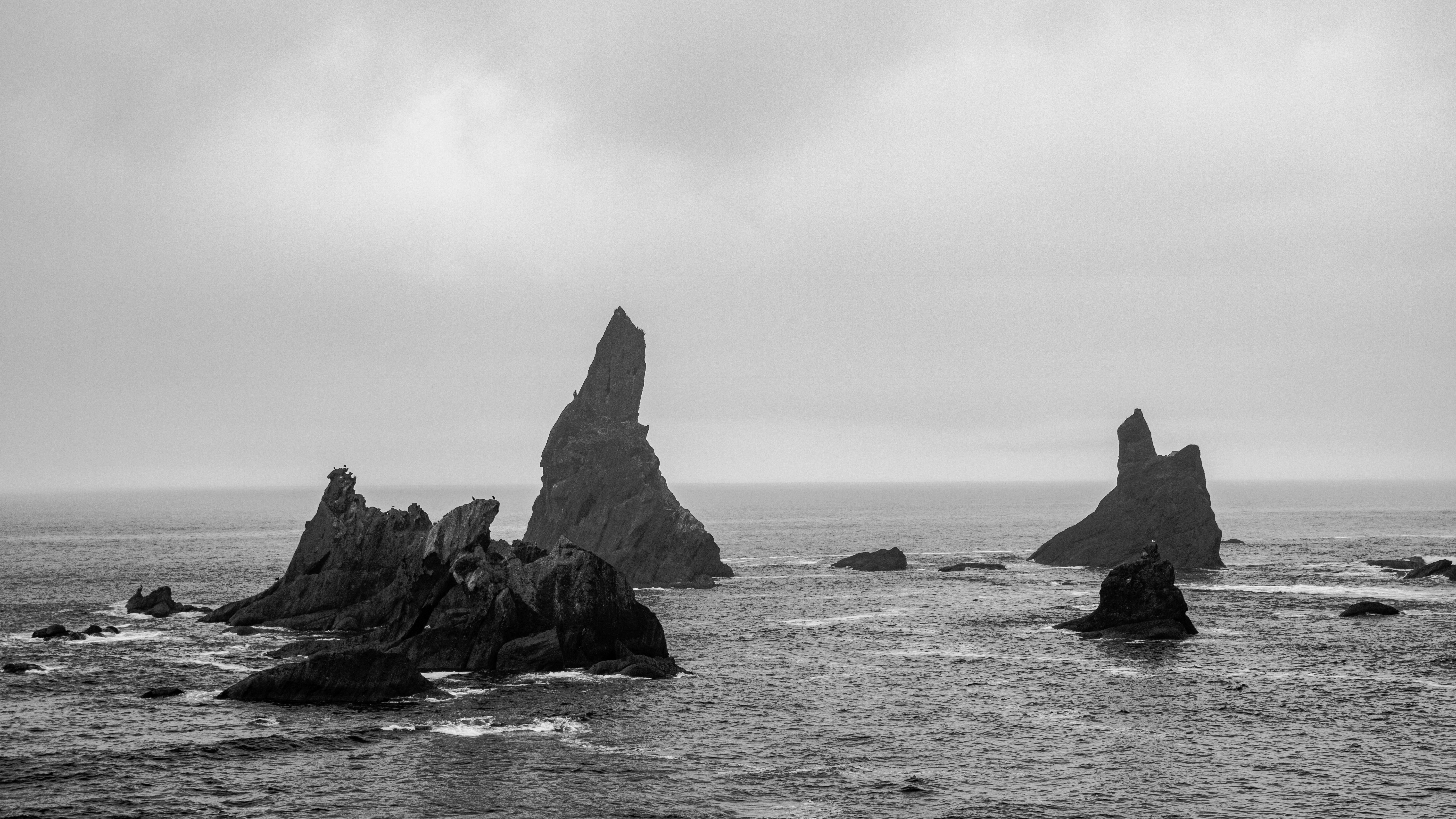 Photo by zoshuacolah