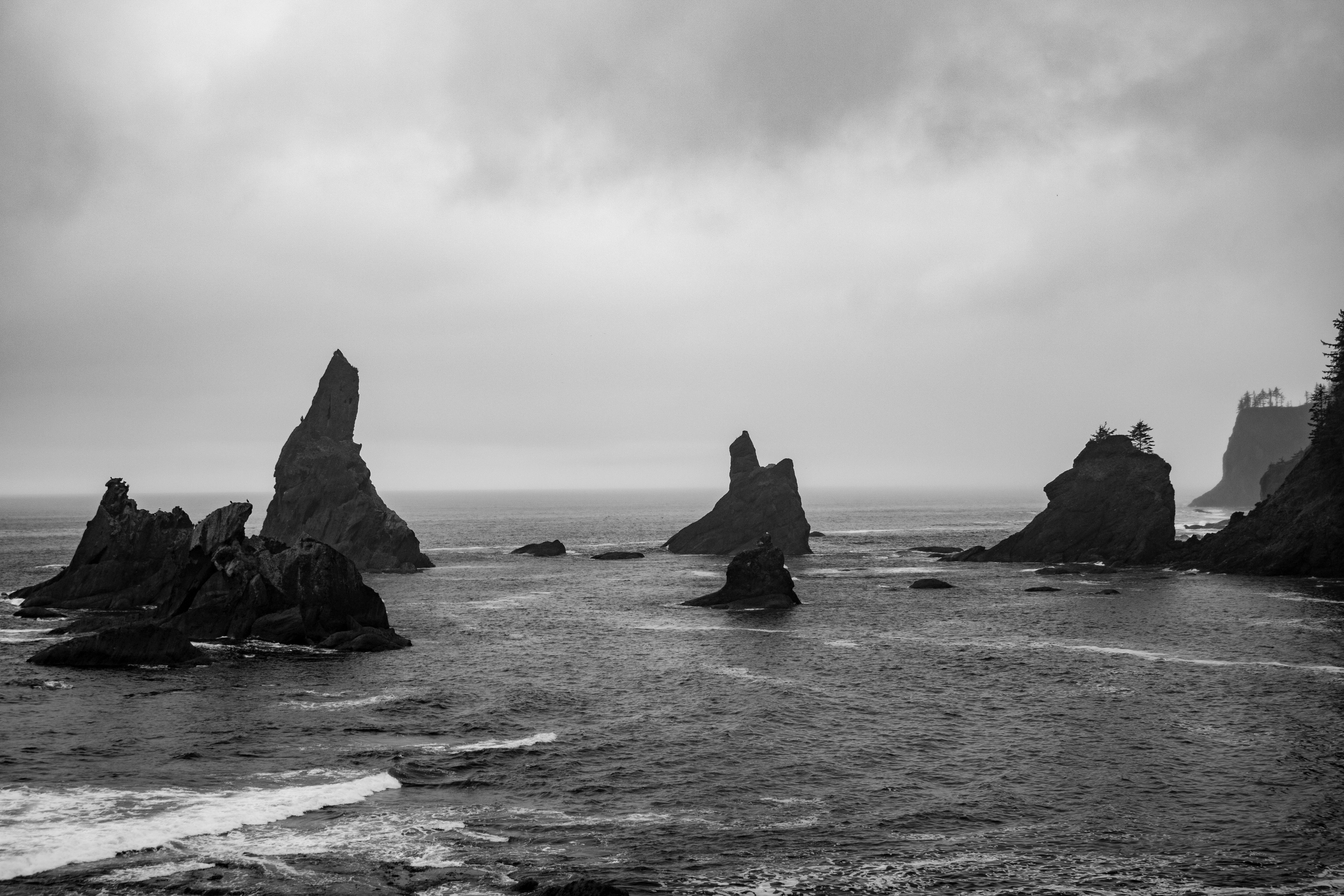 Photo by zoshuacolah