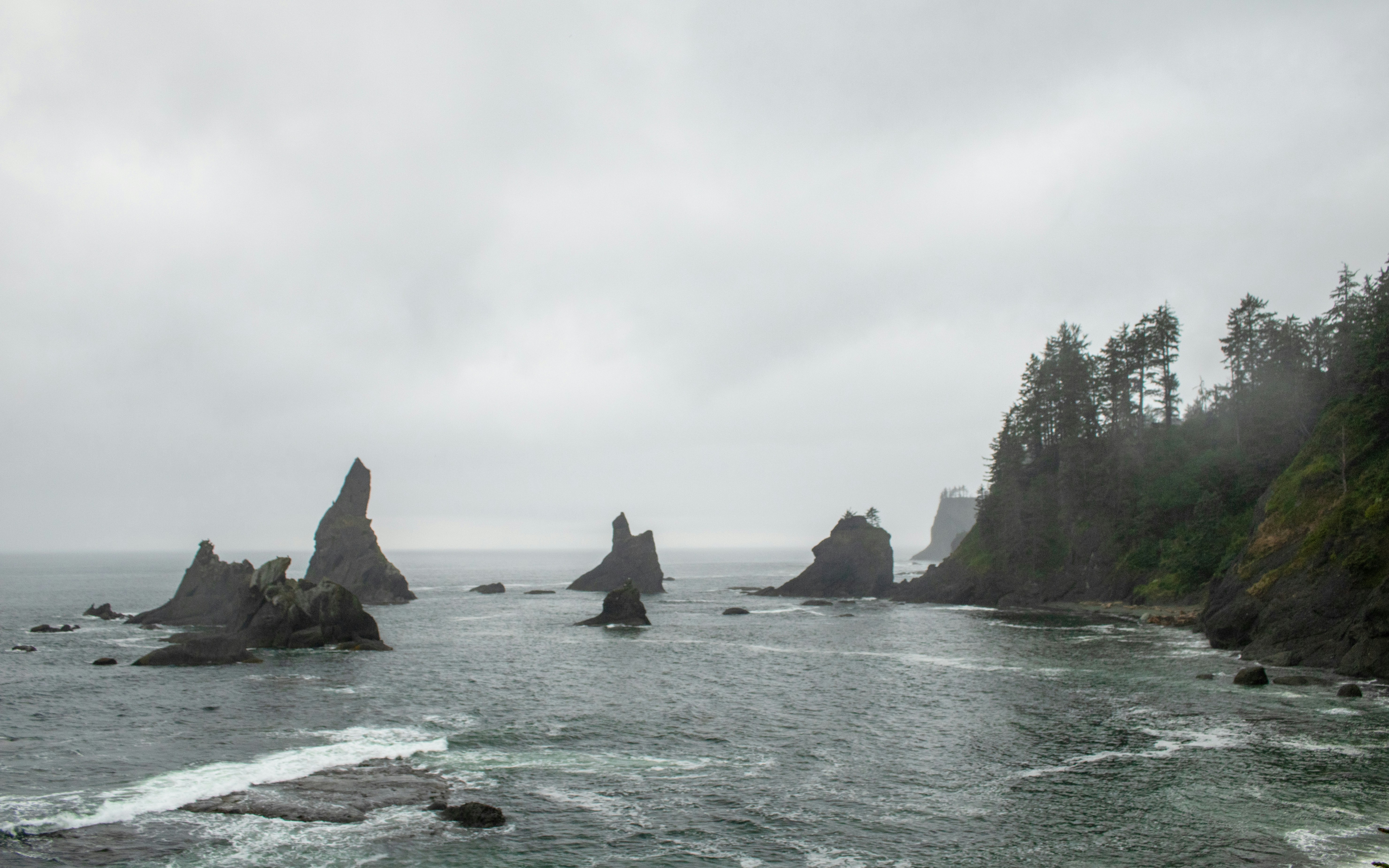 Photo by zoshuacolah