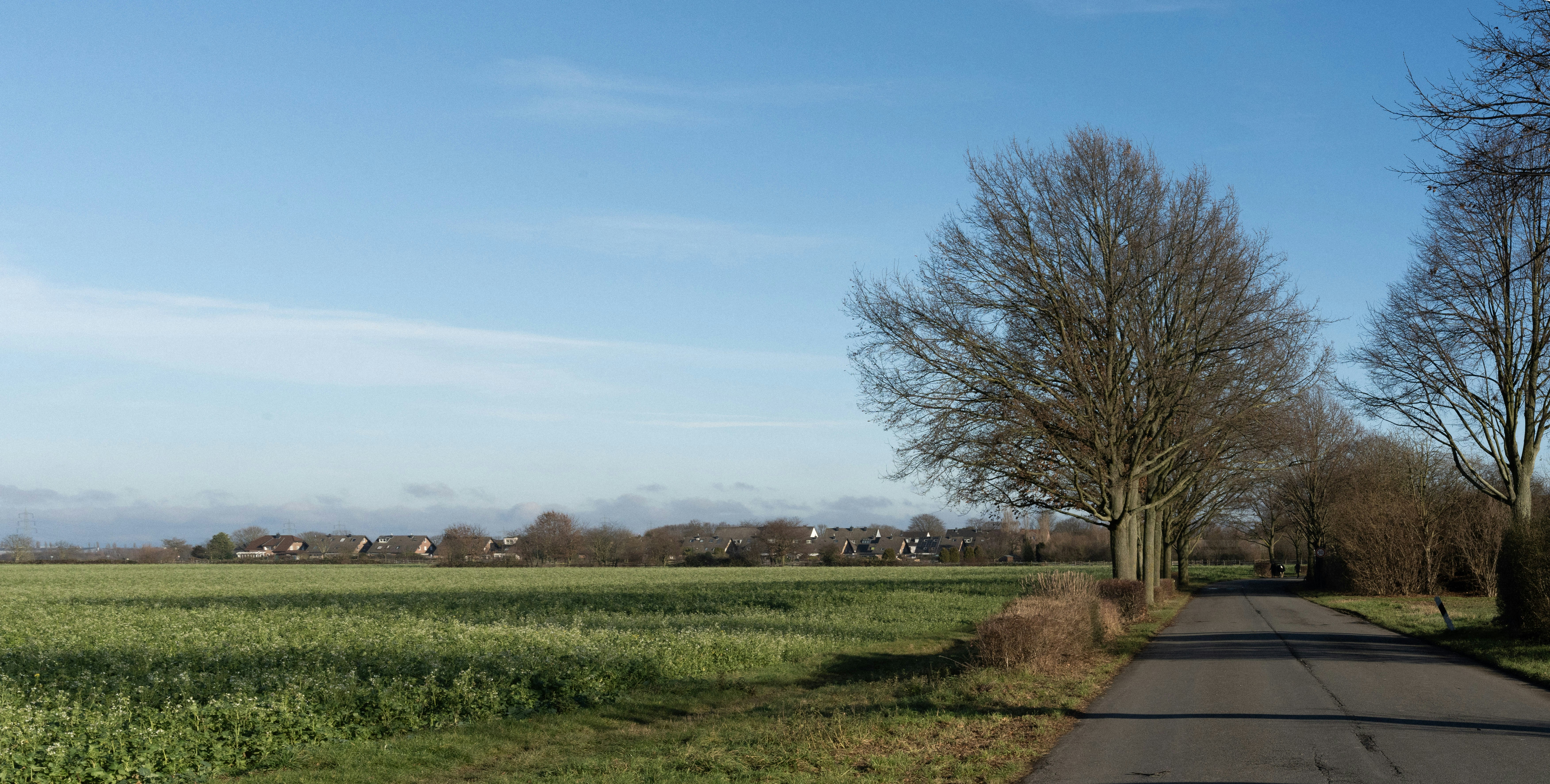 Photo by sorinbasangeac