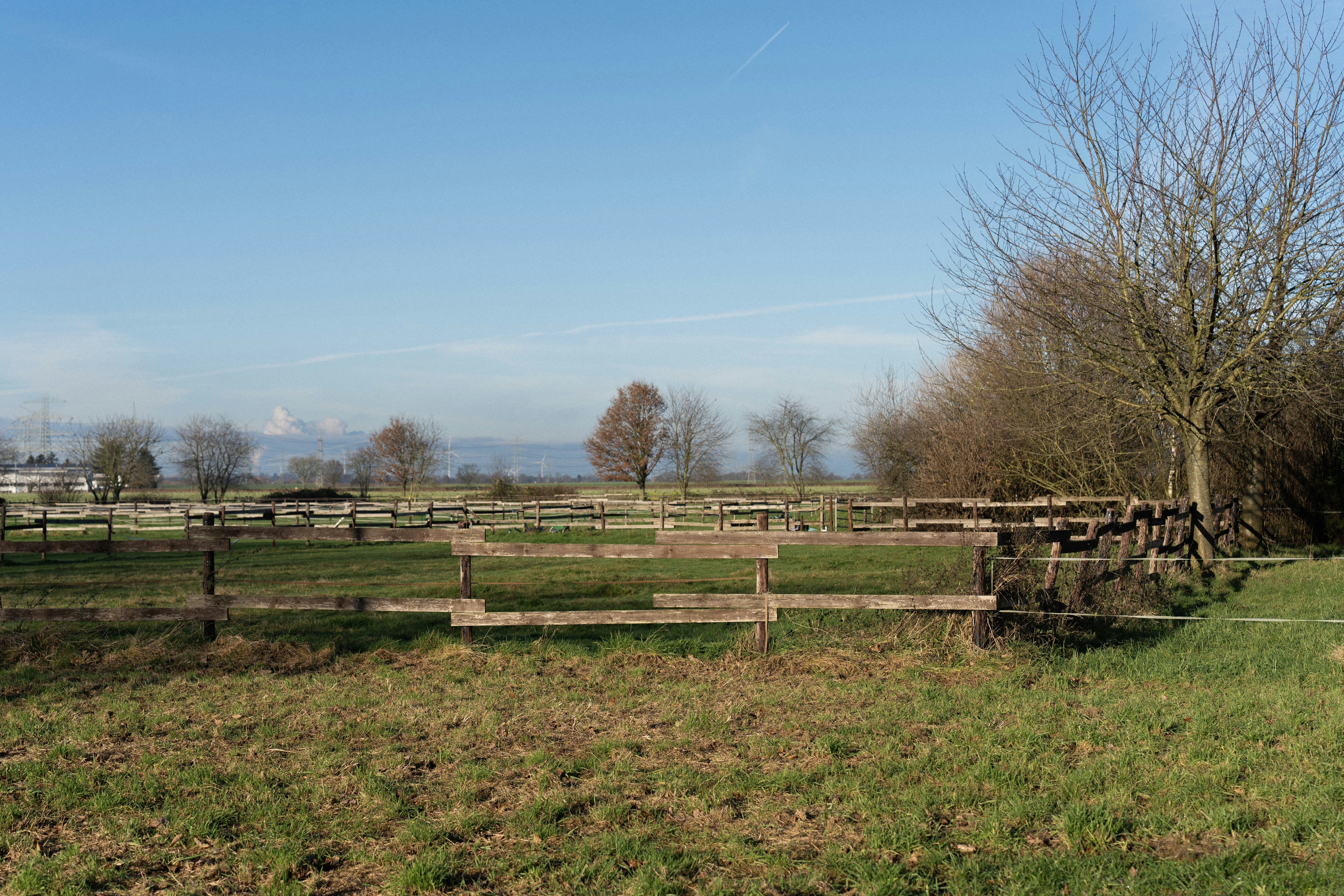 Photo by sorinbasangeac