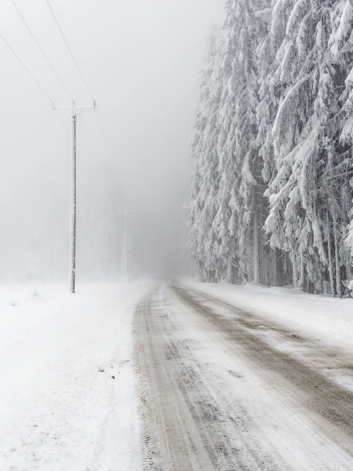 Snow-covered road with power lines during a South Dakota winter storm