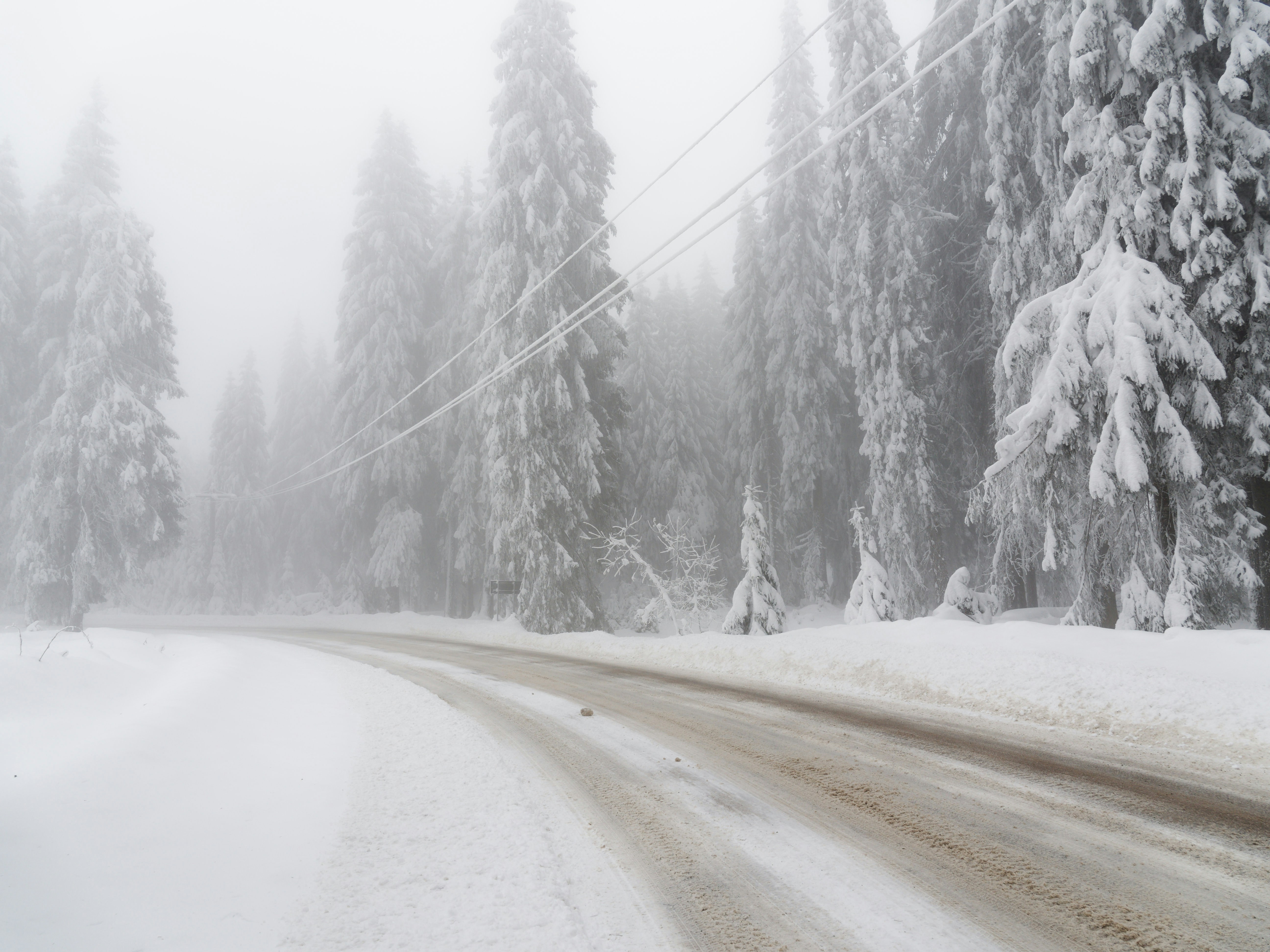 Photo by illes_cristi